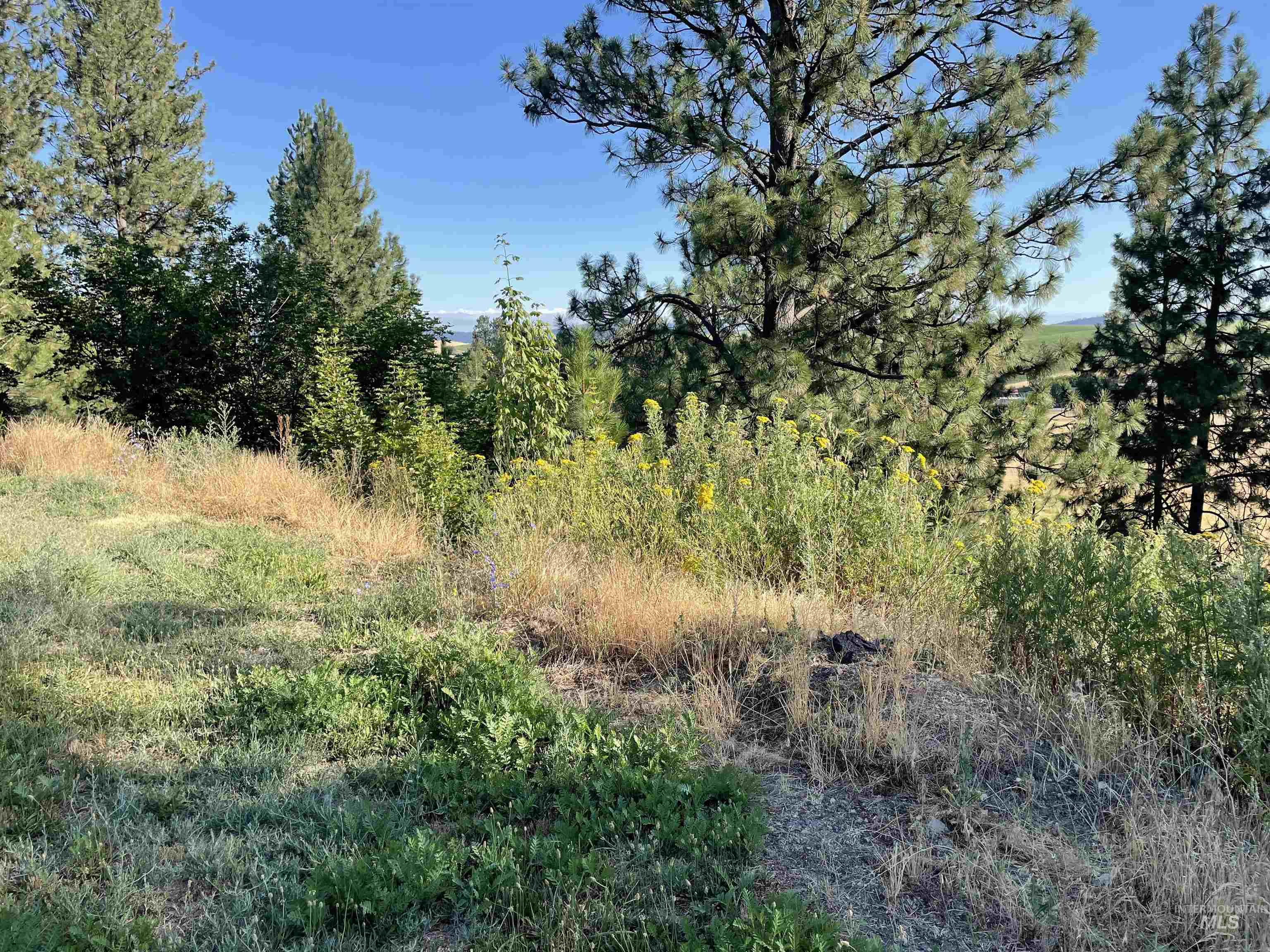 Nka Ponderosa Drive Lot 2 Property Photo 5