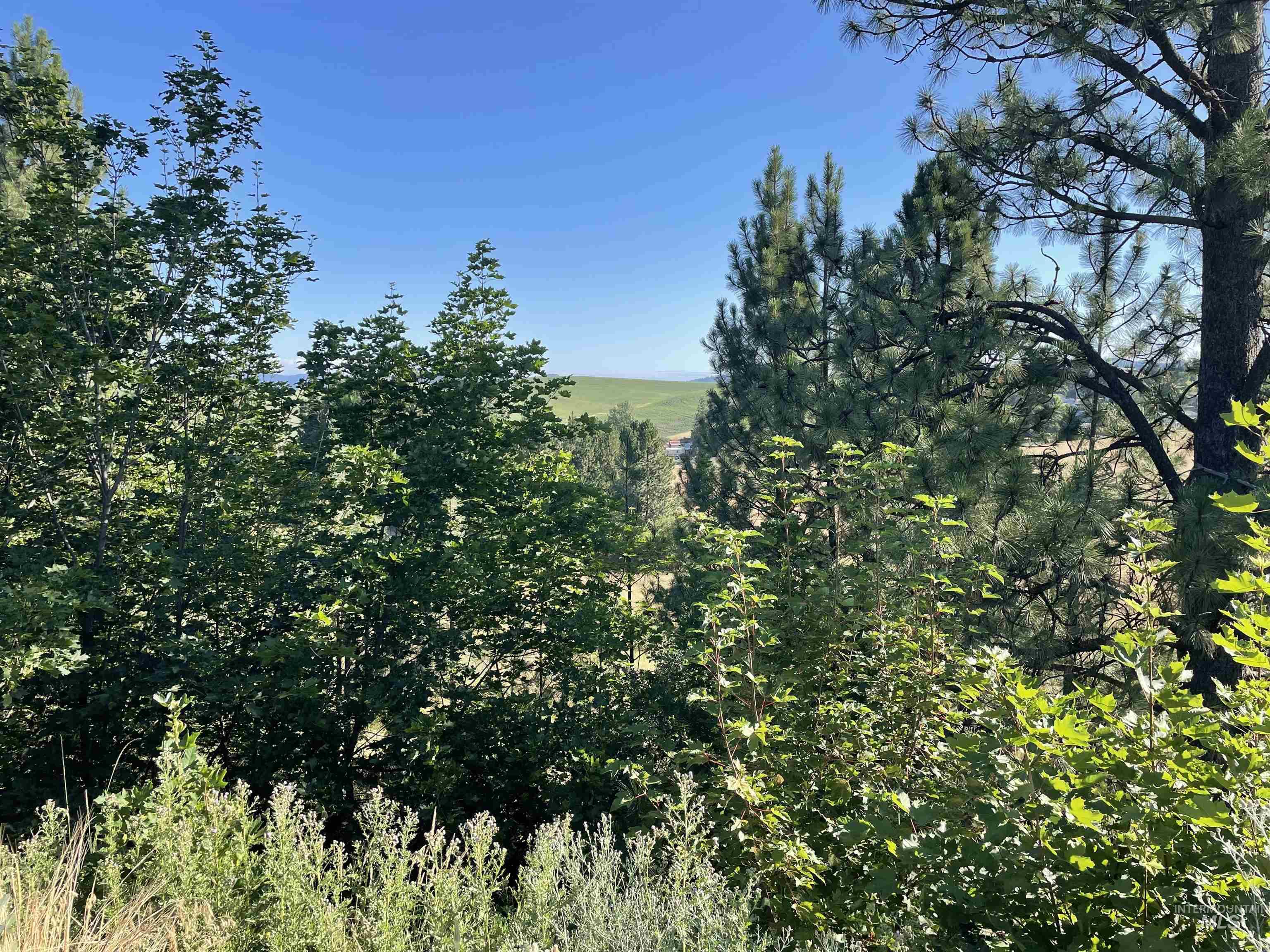 Nka Ponderosa Drive Lot 2 Property Photo 6
