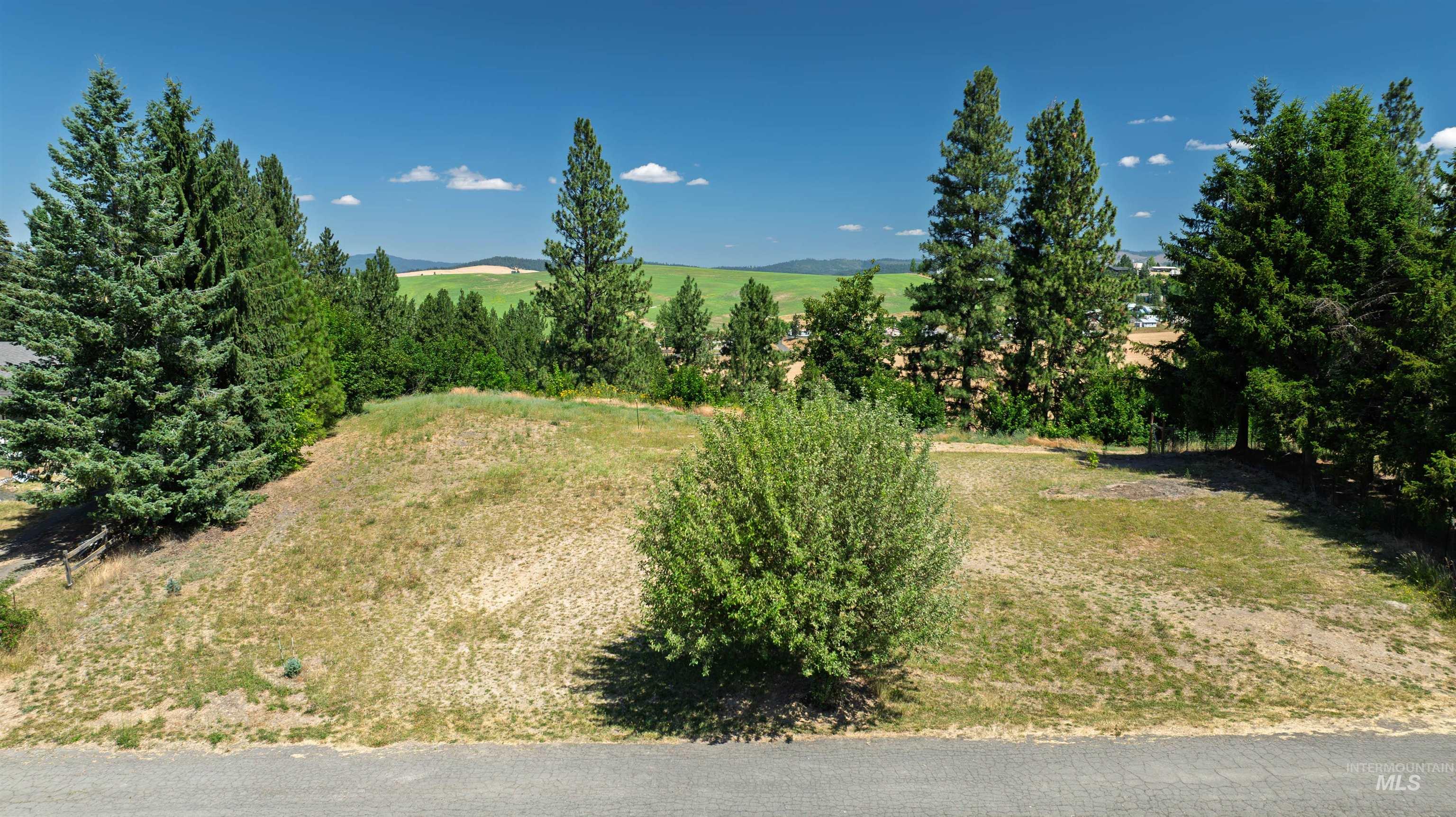 Nka Ponderosa Drive Lot 2 Property Photo 8