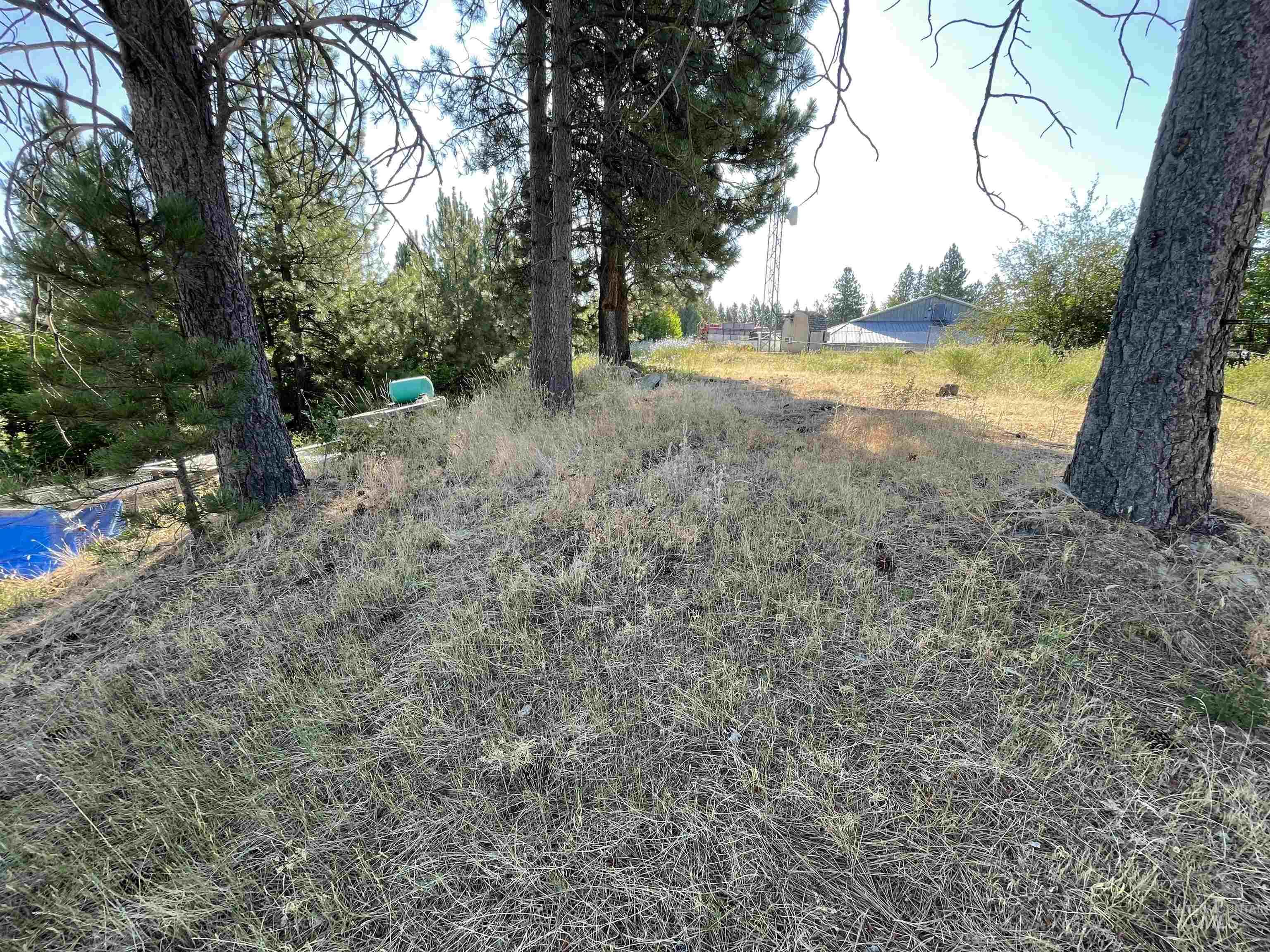 Nka Ponderosa Drive Lot 4 Property Photo 3