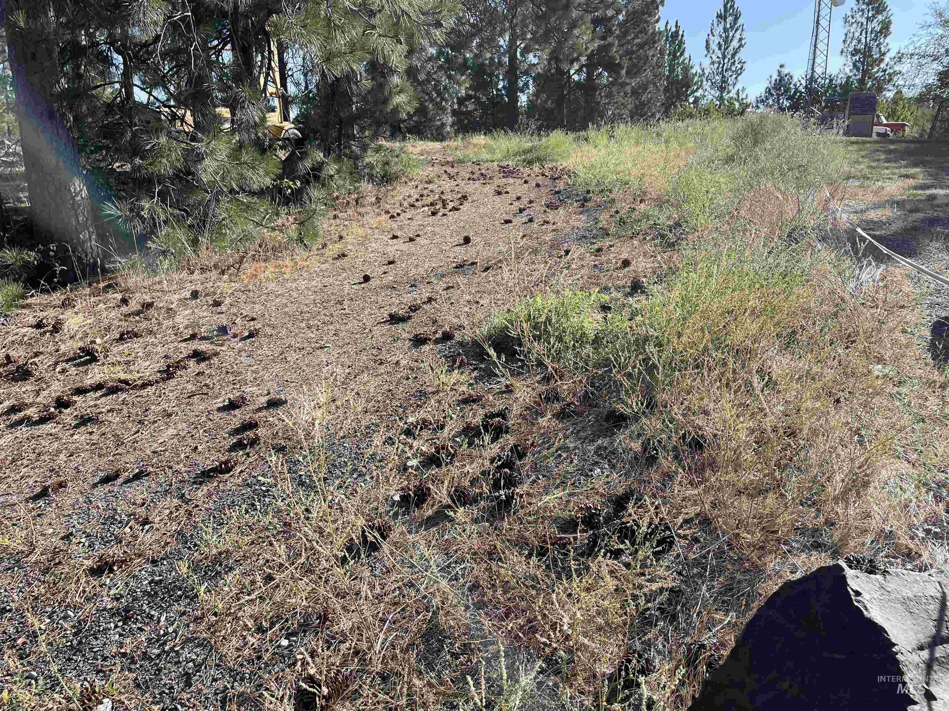 Nka Ponderosa Drive Lot 4 Property Photo 4