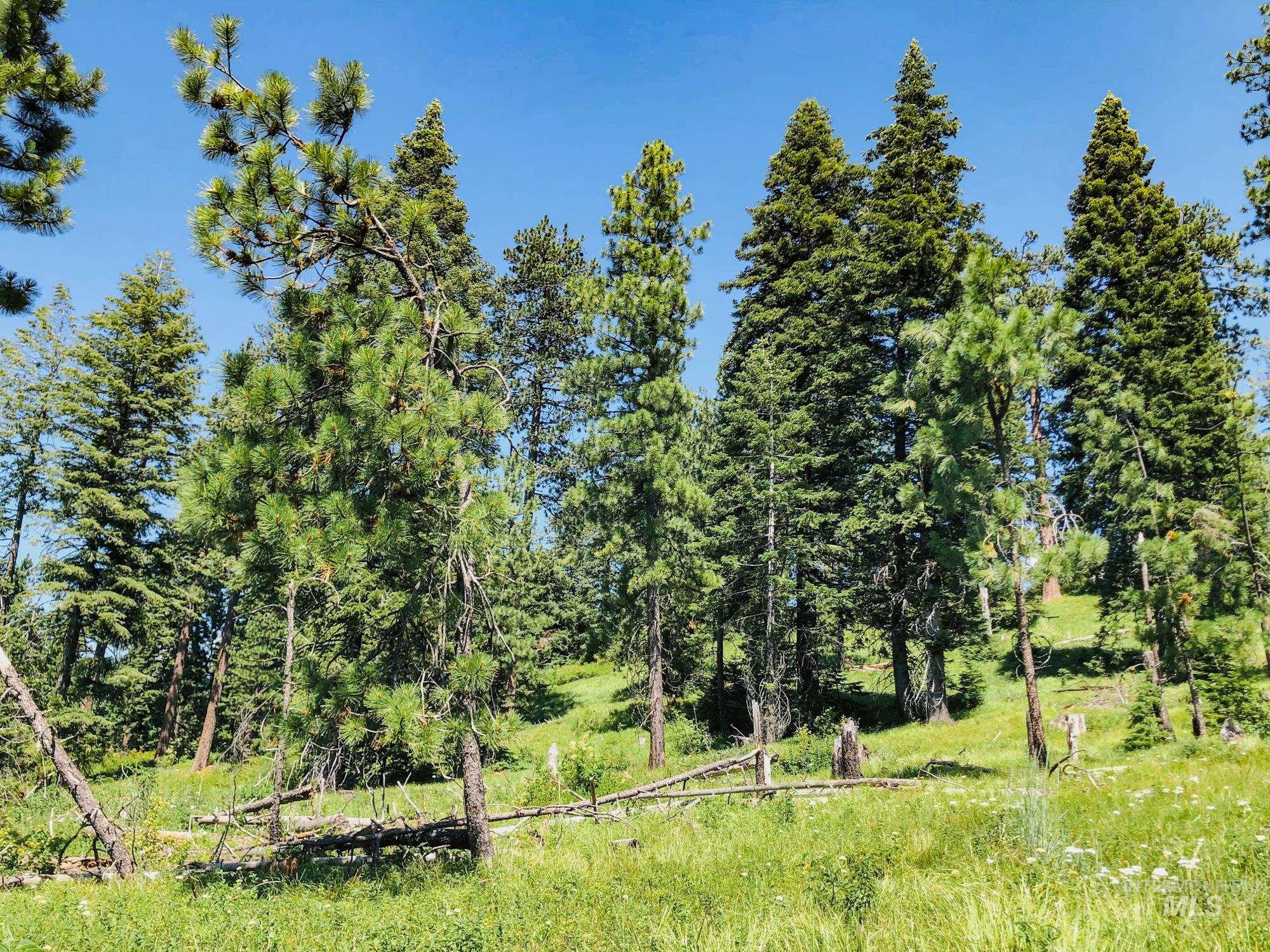 5110 Highway 95 Property Photo 20