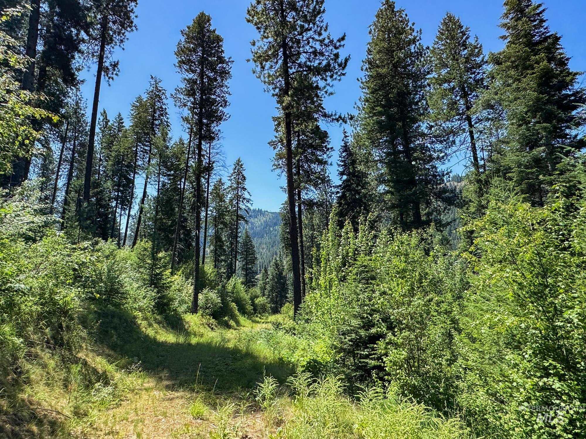 5110 Highway 95 Property Photo 24