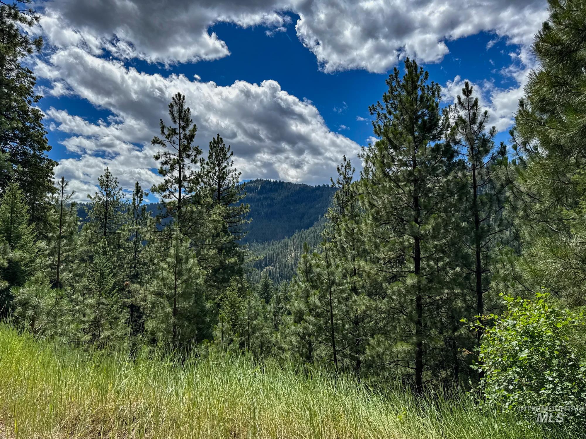 5110 Highway 95 Property Photo 25