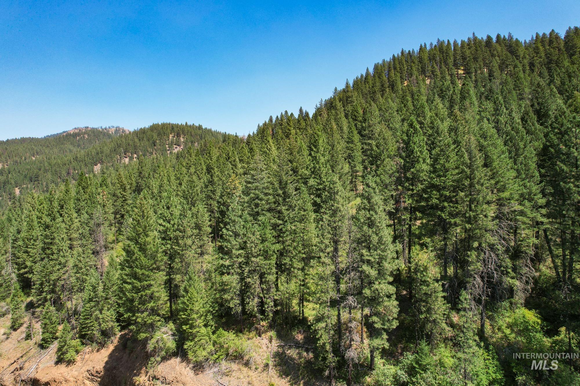 5110 Highway 95 Property Photo 46