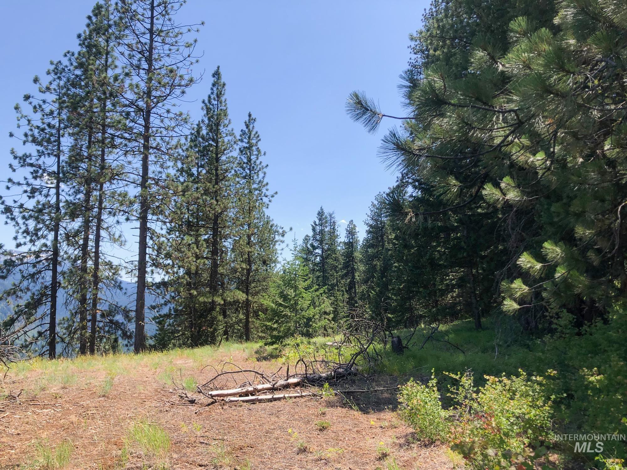 5110 Highway 95 Property Photo 31