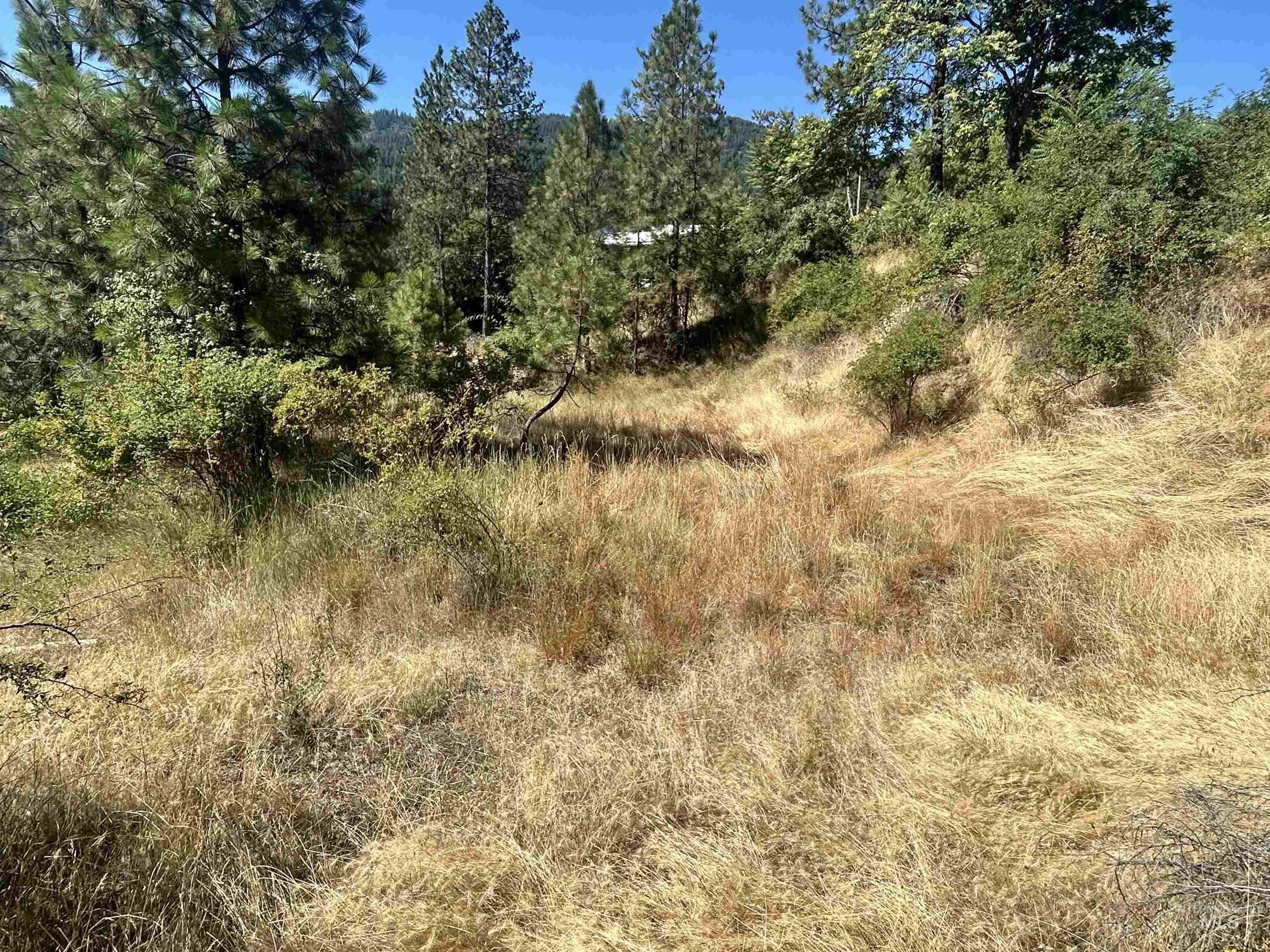 Tbd Highland Ct Property Photo 5