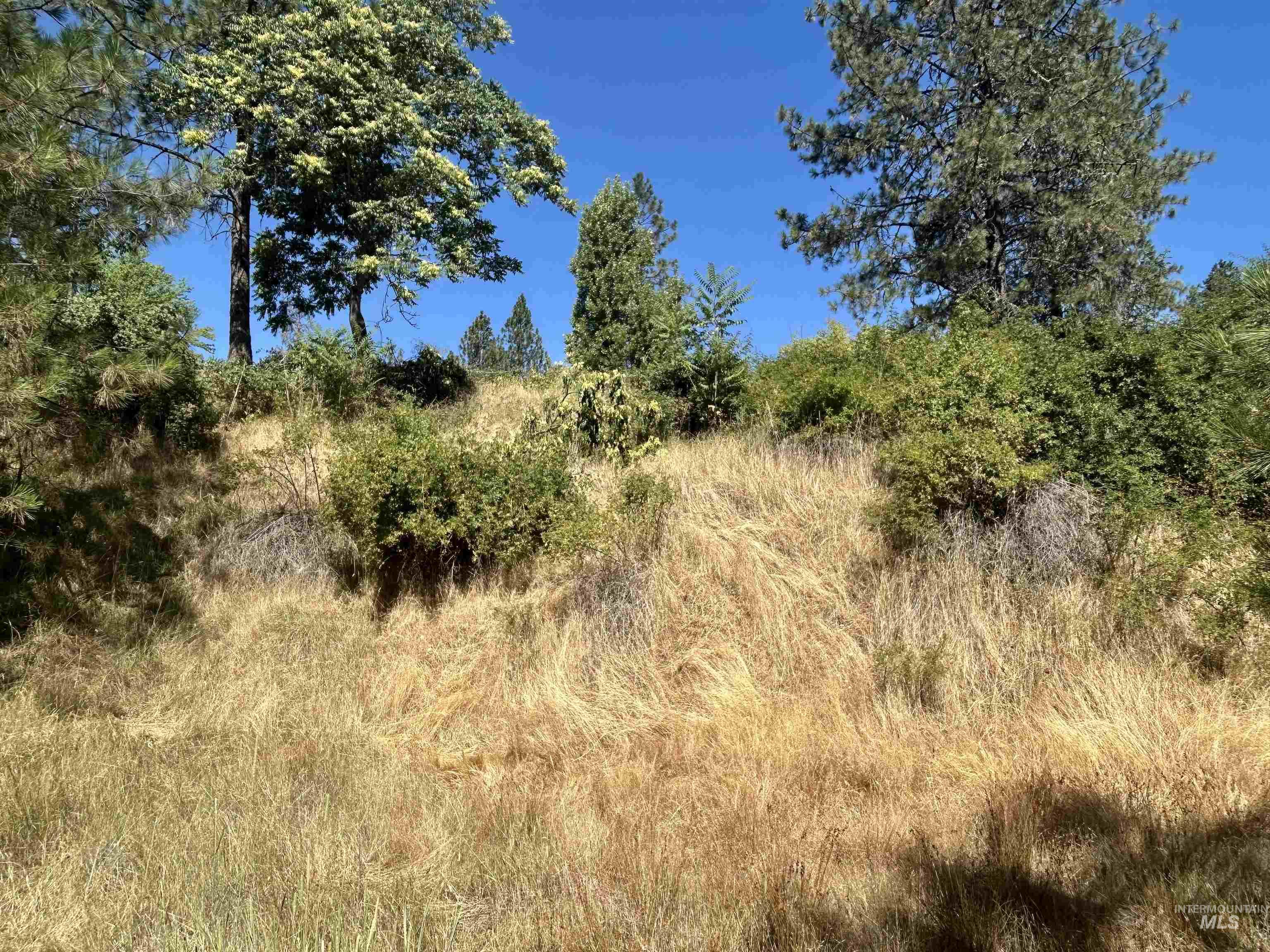 Tbd Highland Ct Property Photo 6