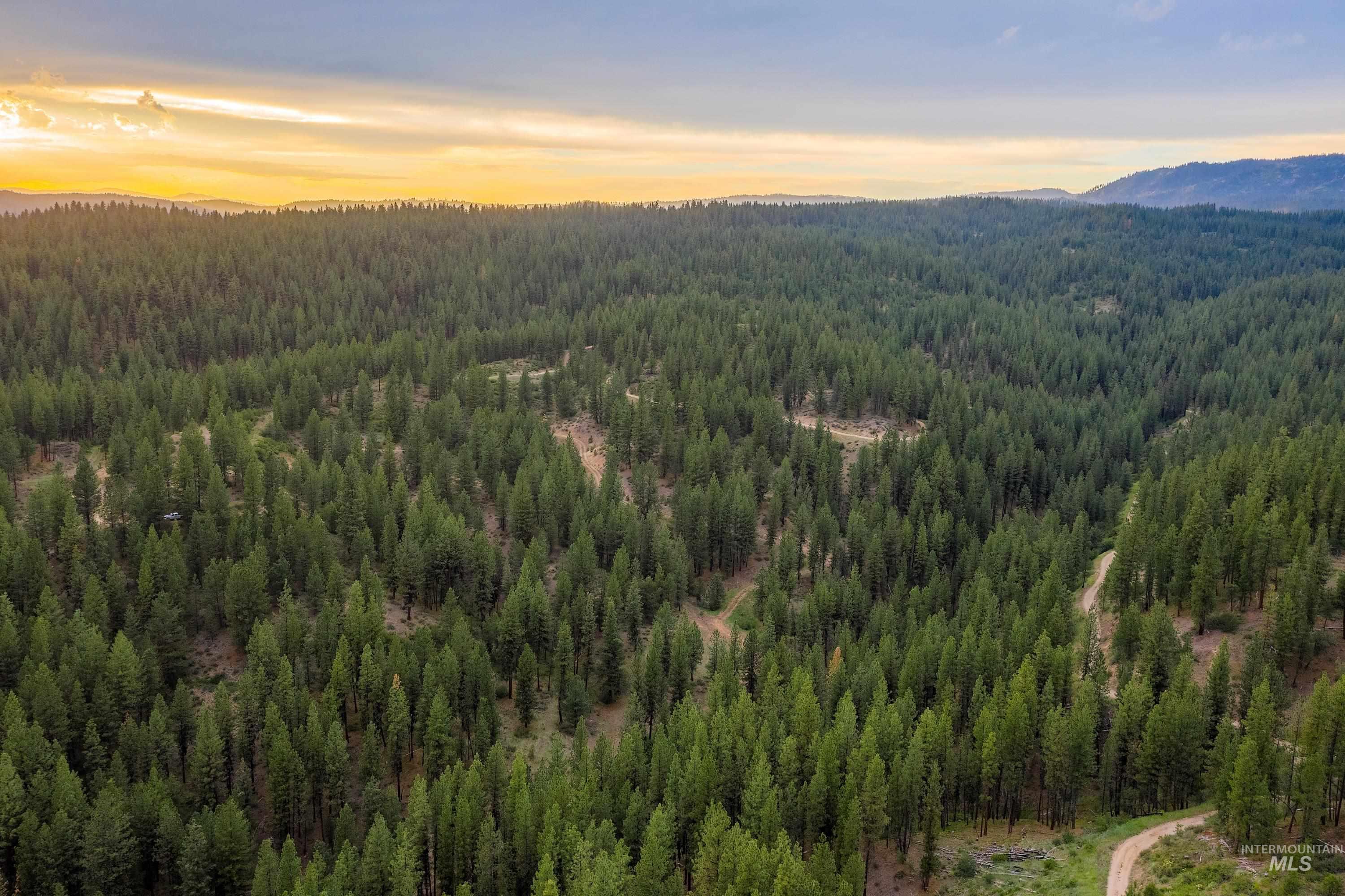 Tbd Highway 21 Property Photo 4