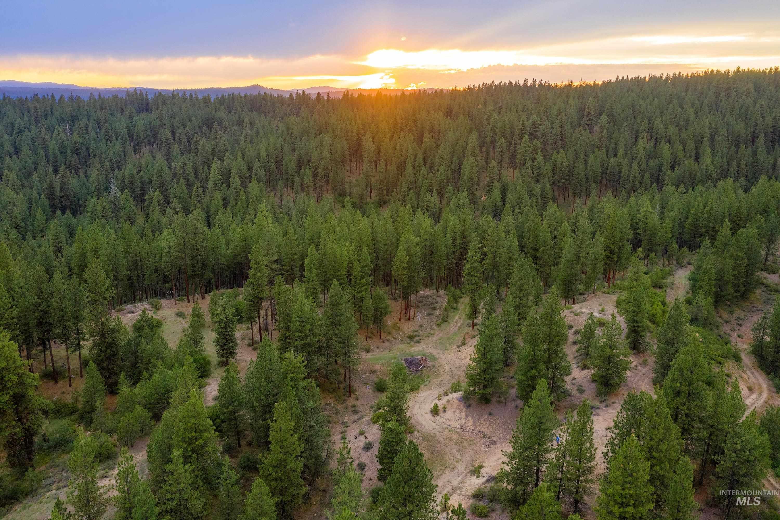 Tbd Highway 21 Property Photo 8