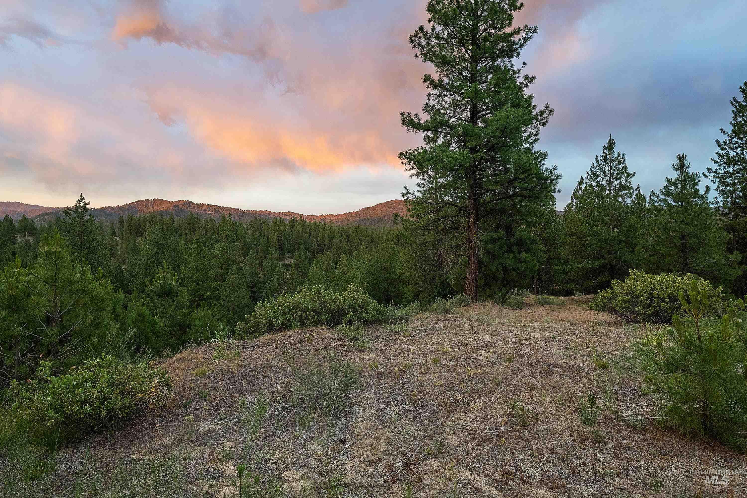 Tbd Highway 21 Property Photo 10
