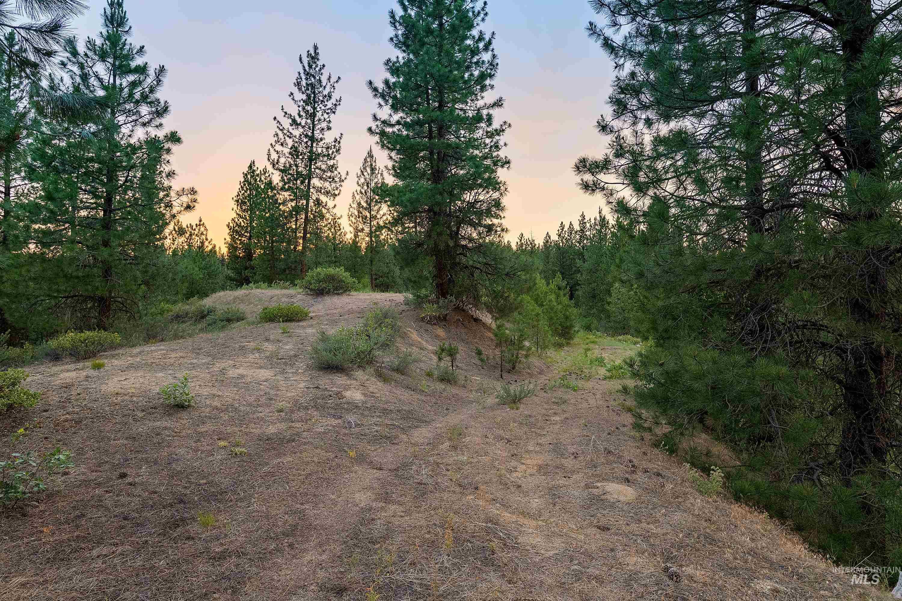 Tbd Highway 21 Property Photo 12