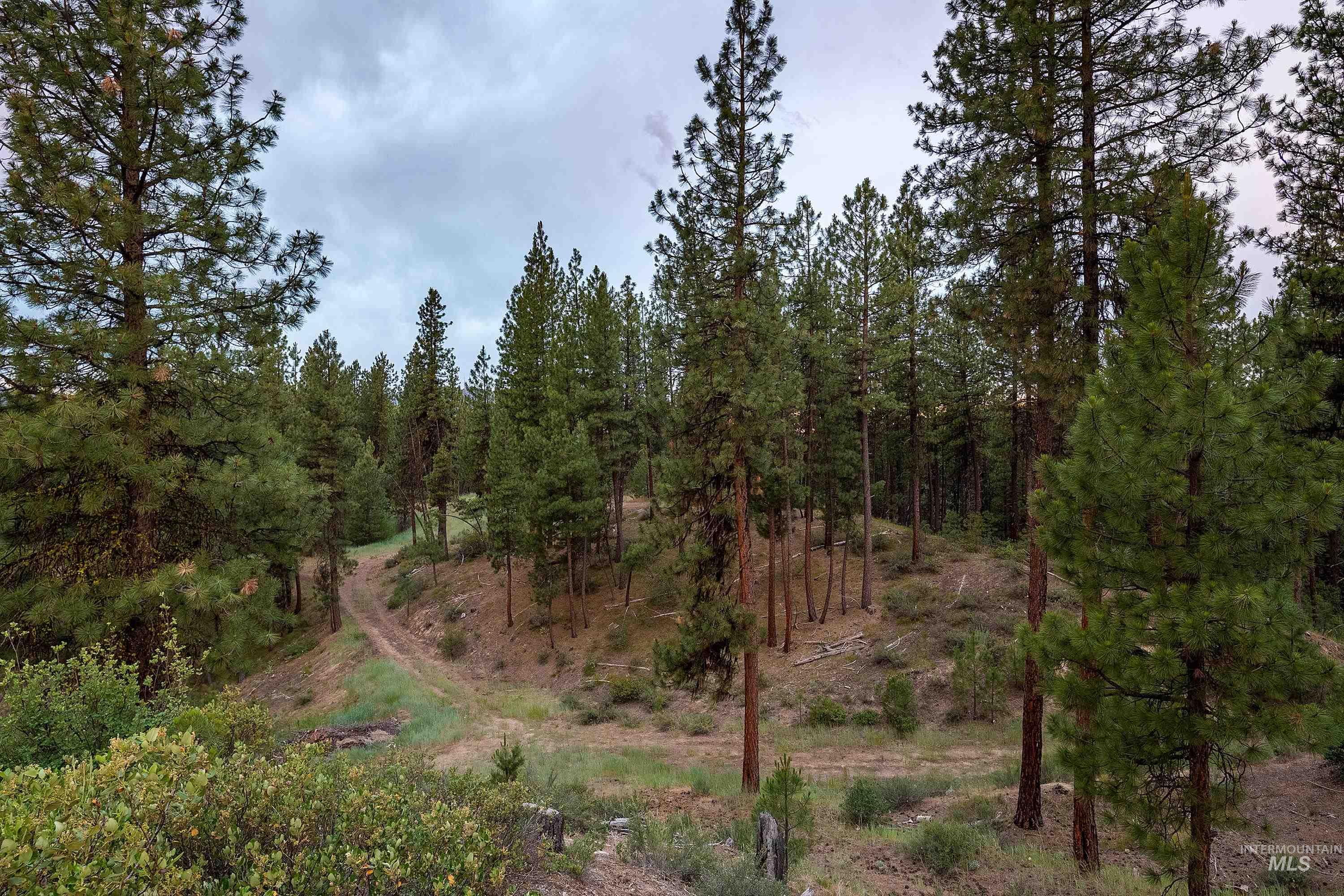 Tbd Highway 21 Property Photo 13
