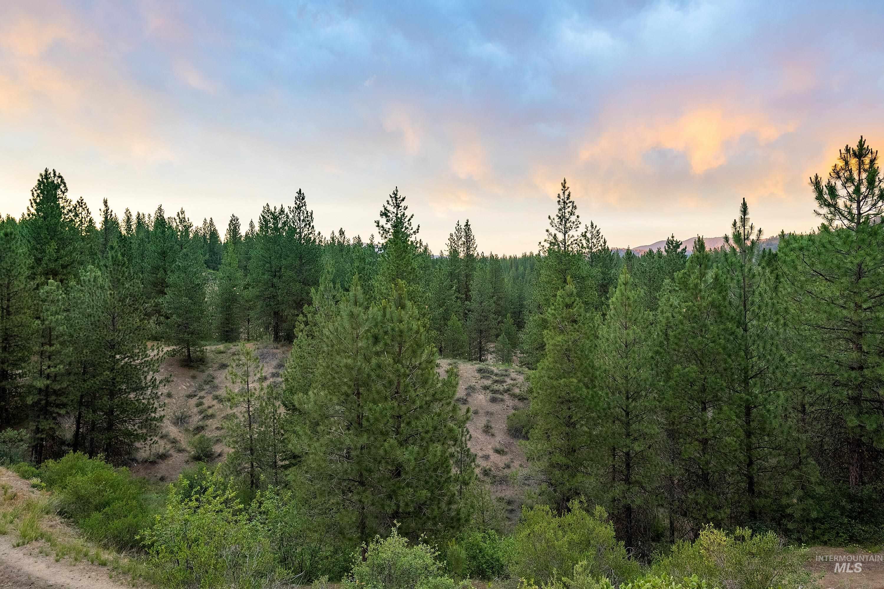 Tbd Highway 21 Property Photo 14