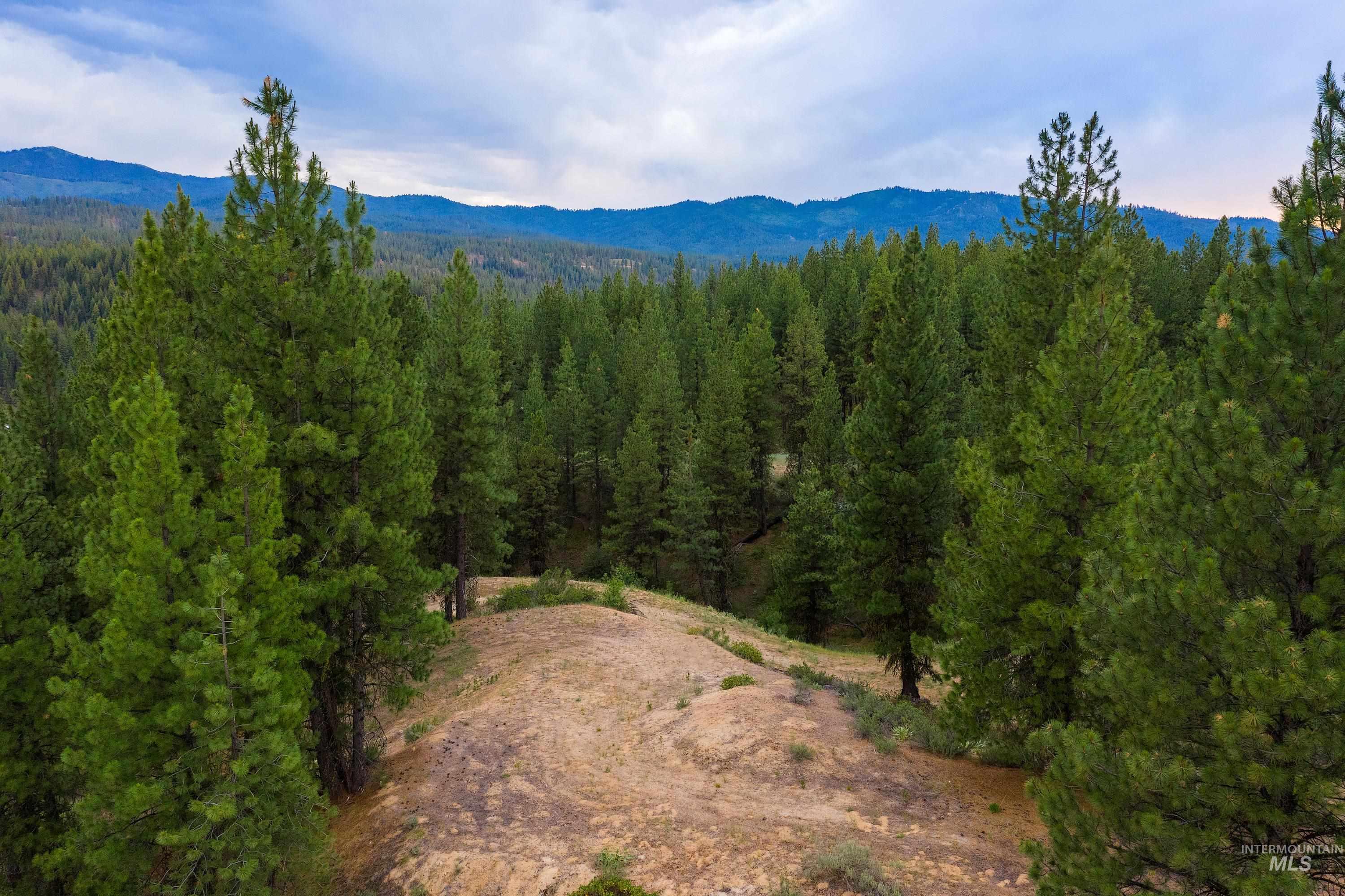 Tbd Highway 21 Property Photo 16