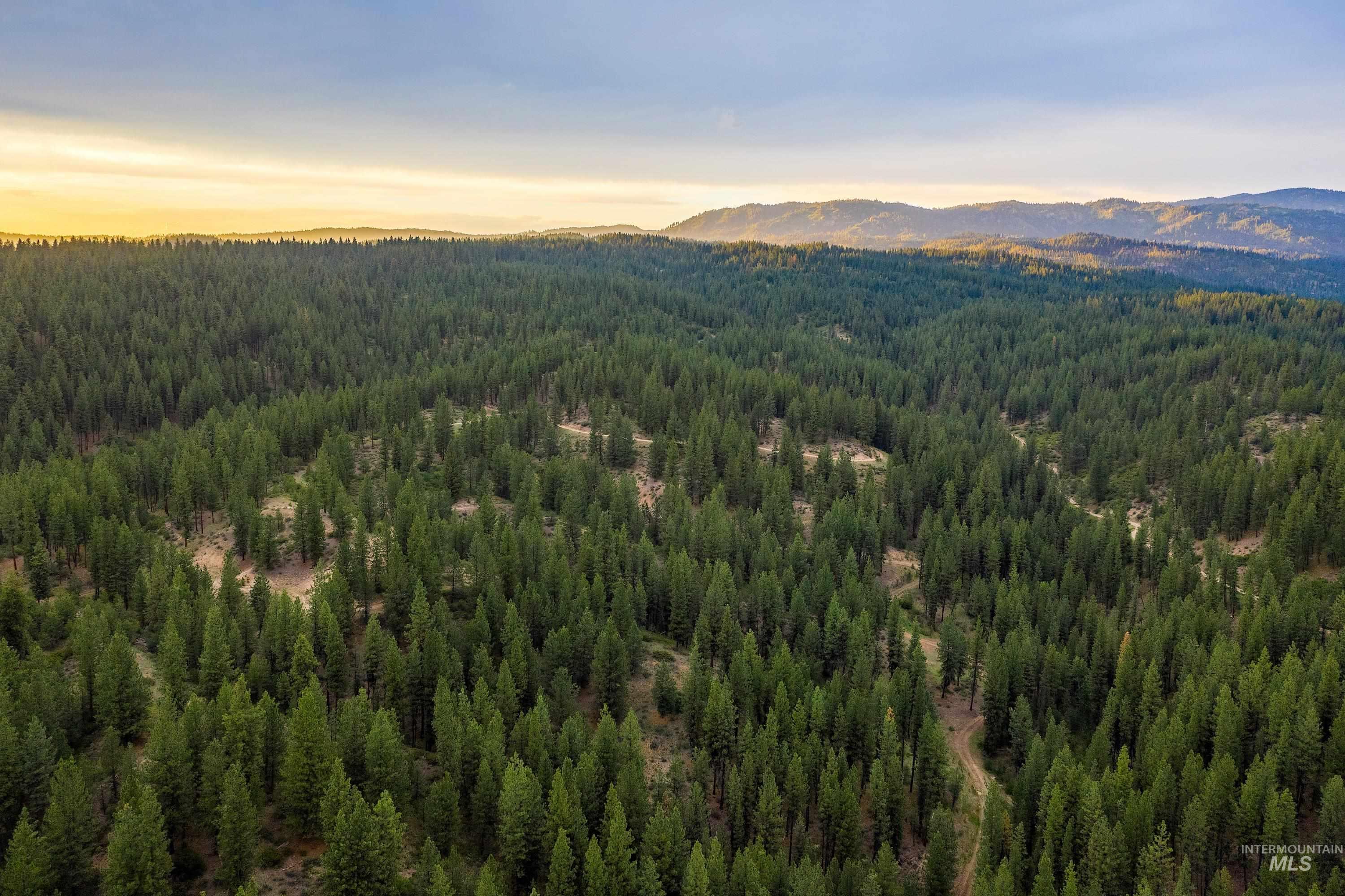 Tbd Highway 21 Property Photo 22