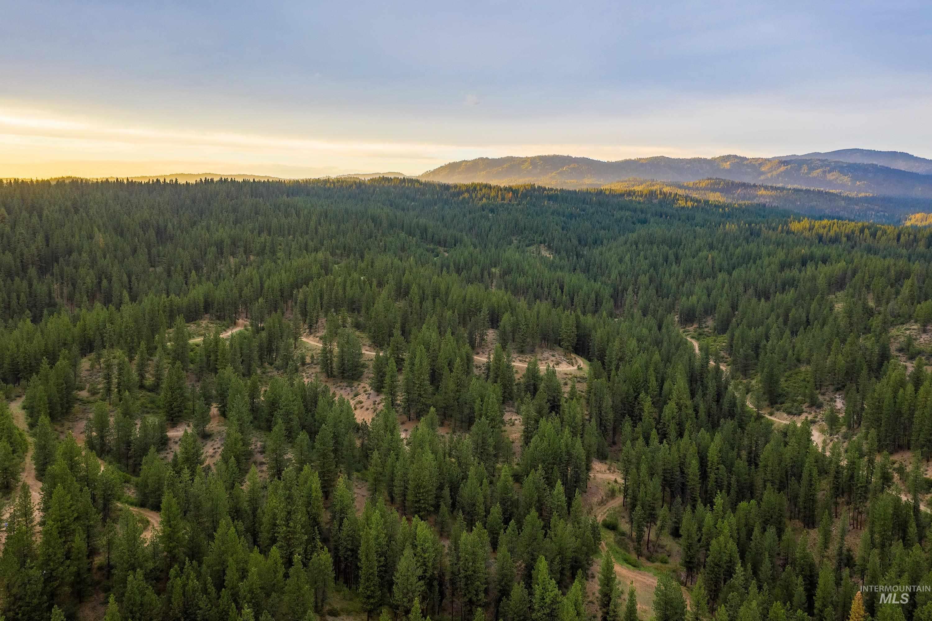 Tbd Highway 21 Property Photo 23