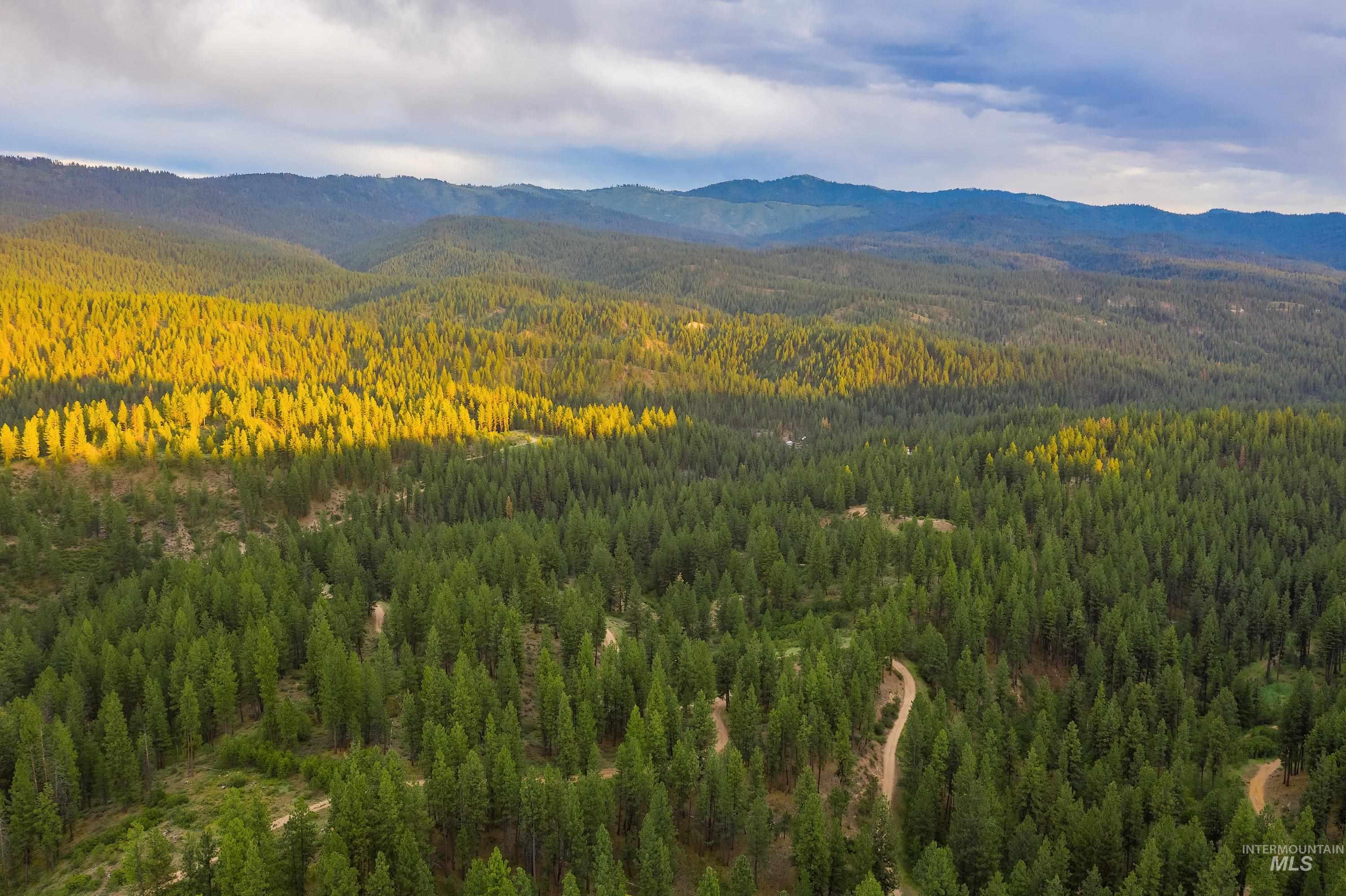 Tbd Highway 21 Property Photo 28
