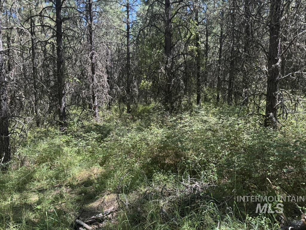 665 Green Rd Property Photo 10