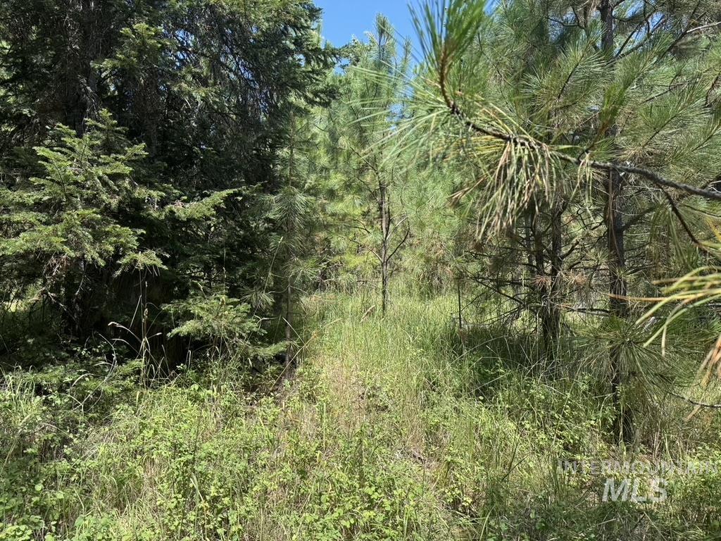 665 Green Rd Property Photo 22