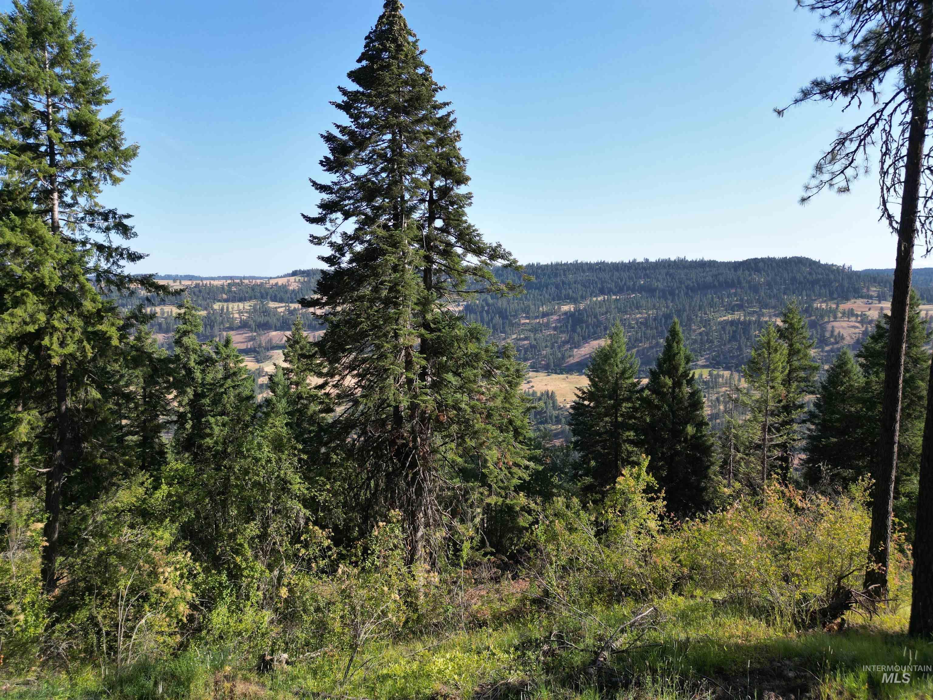750 Mountain Top Drive Property Photo 3