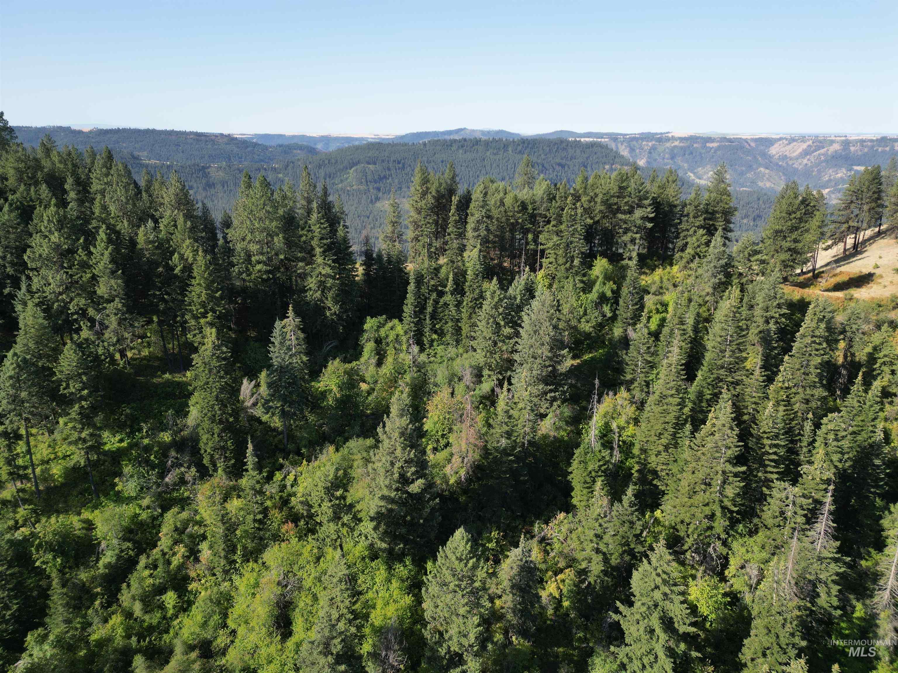 750 Mountain Top Drive Property Photo 4