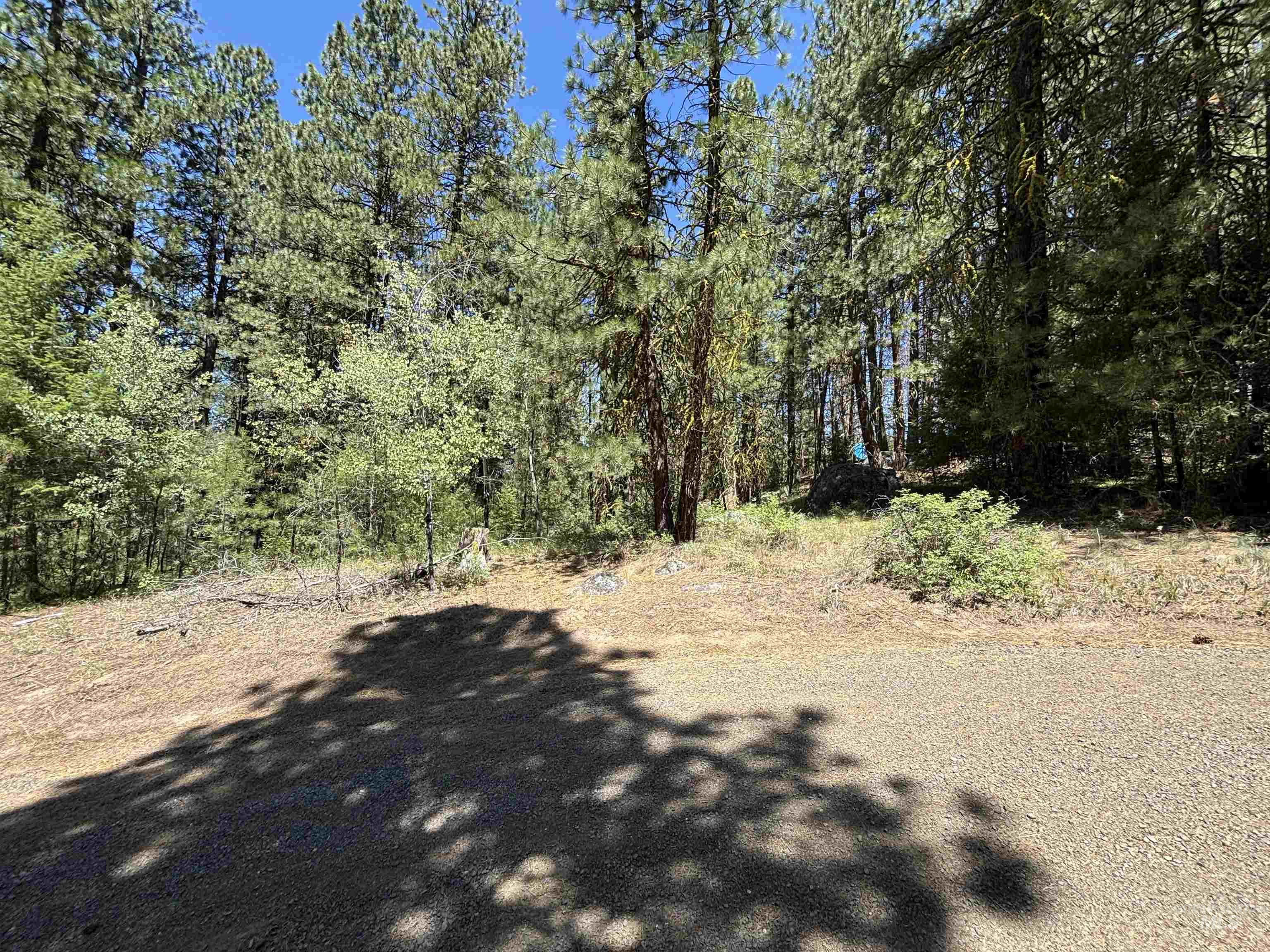 Tbd Frazier Pl Property Photo 4