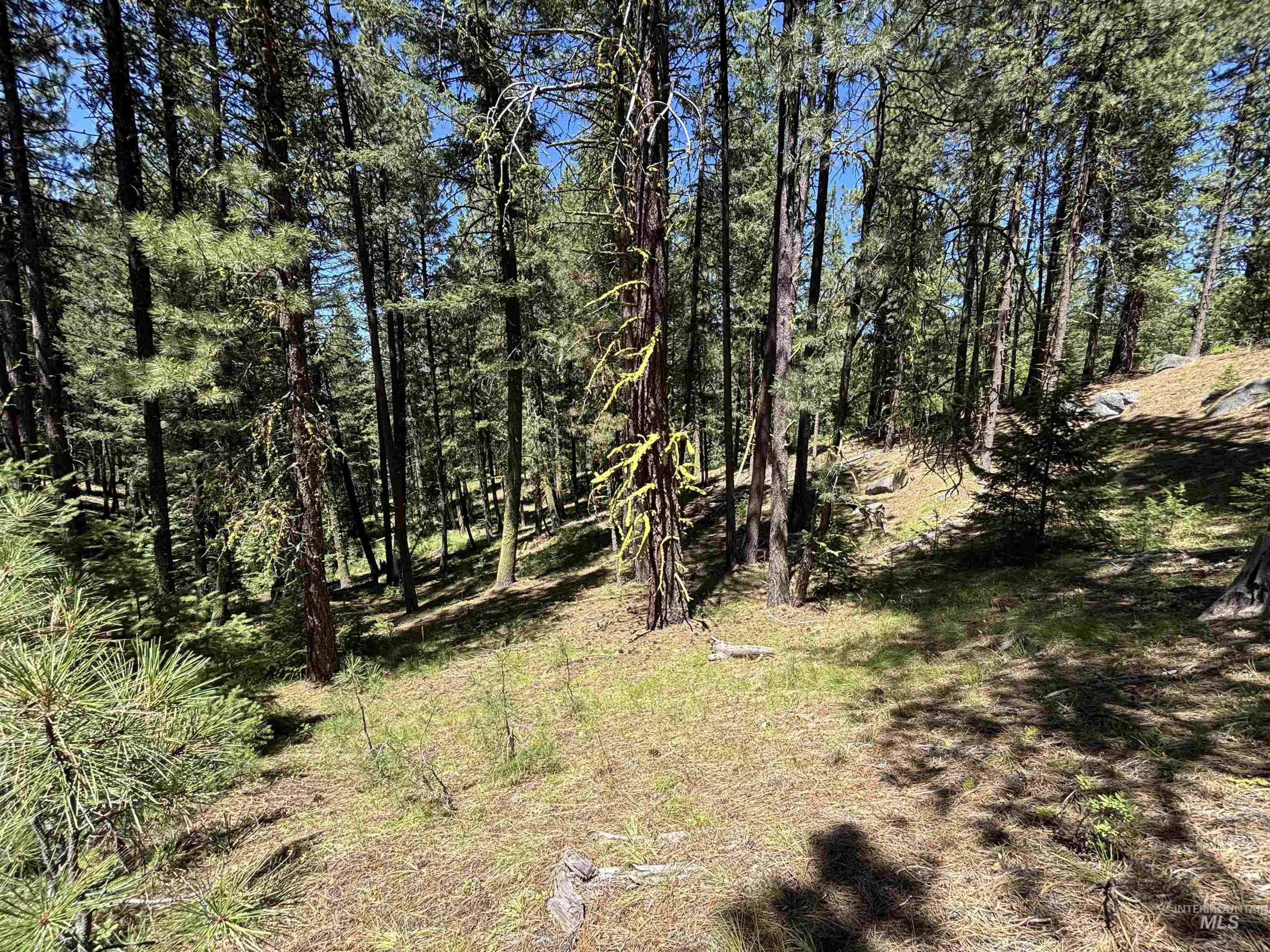 Tbd Frazier Pl Property Photo 5