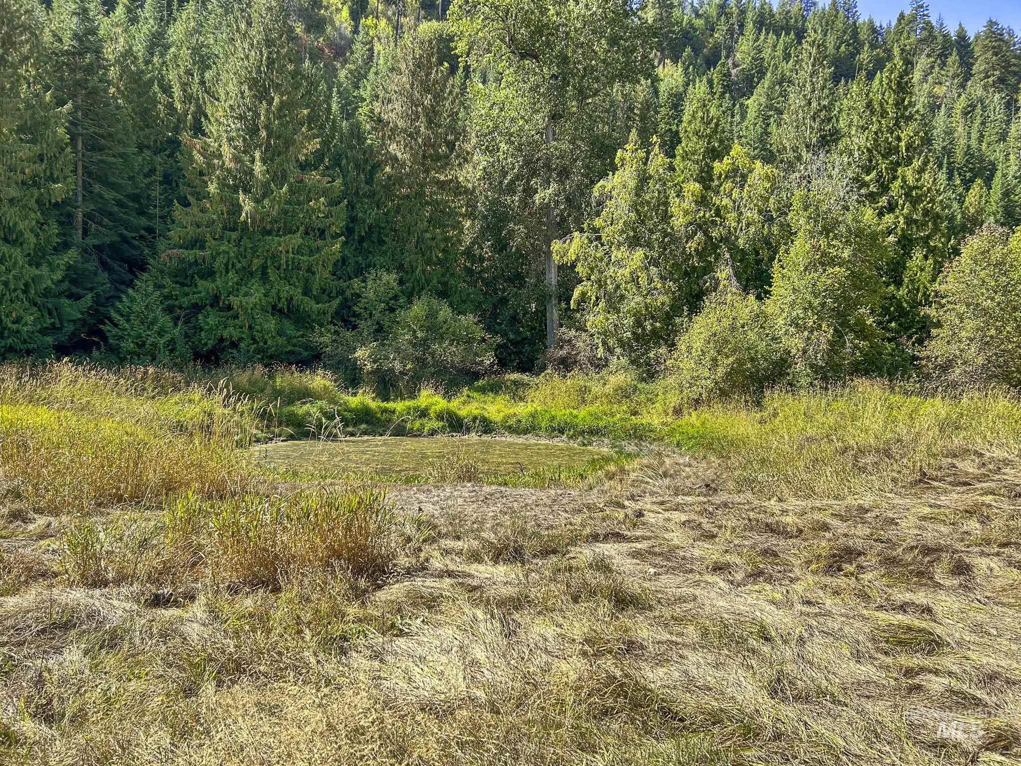 Nka North Road Property Photo 3