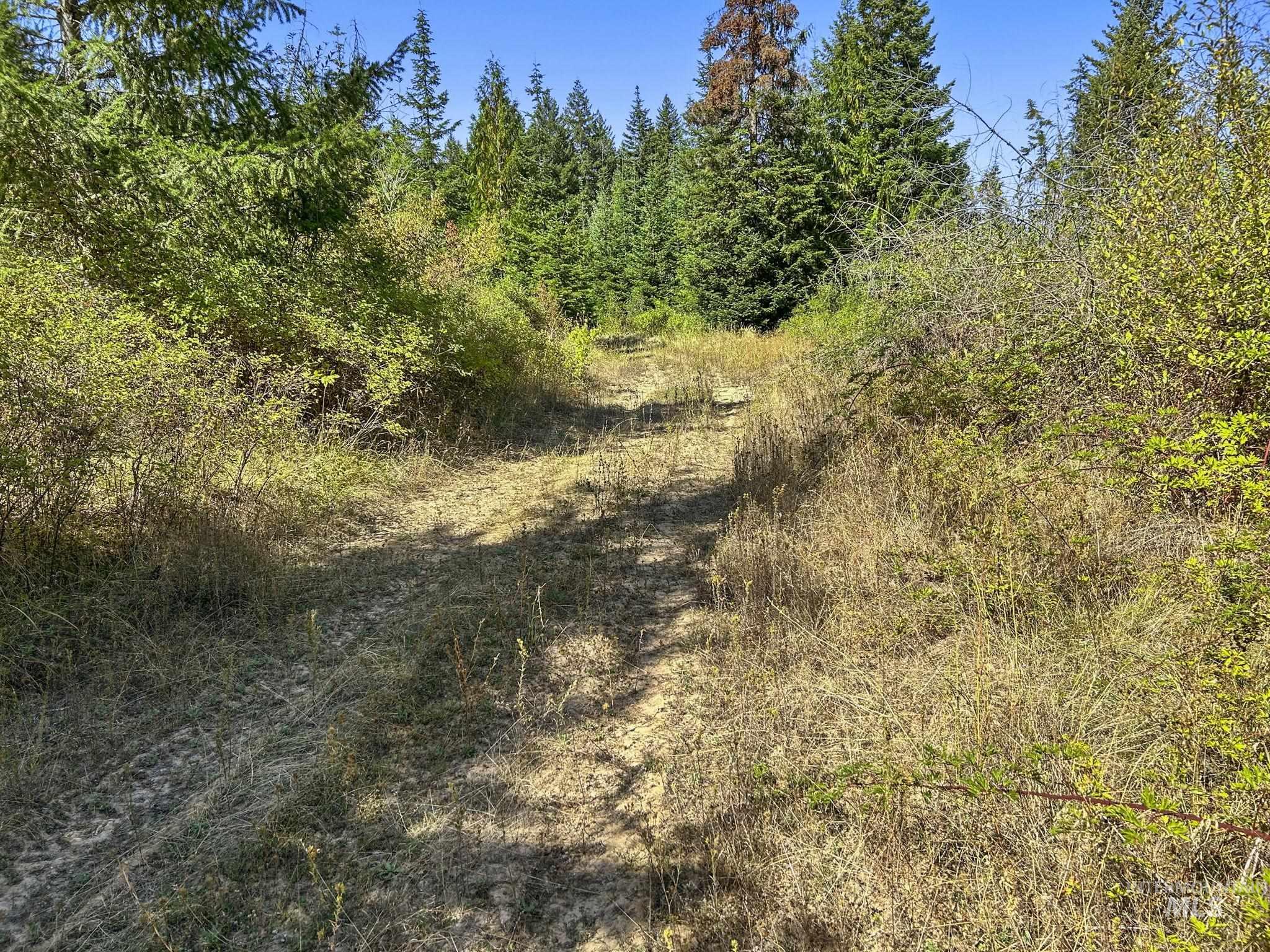 Nka North Road Property Photo 5