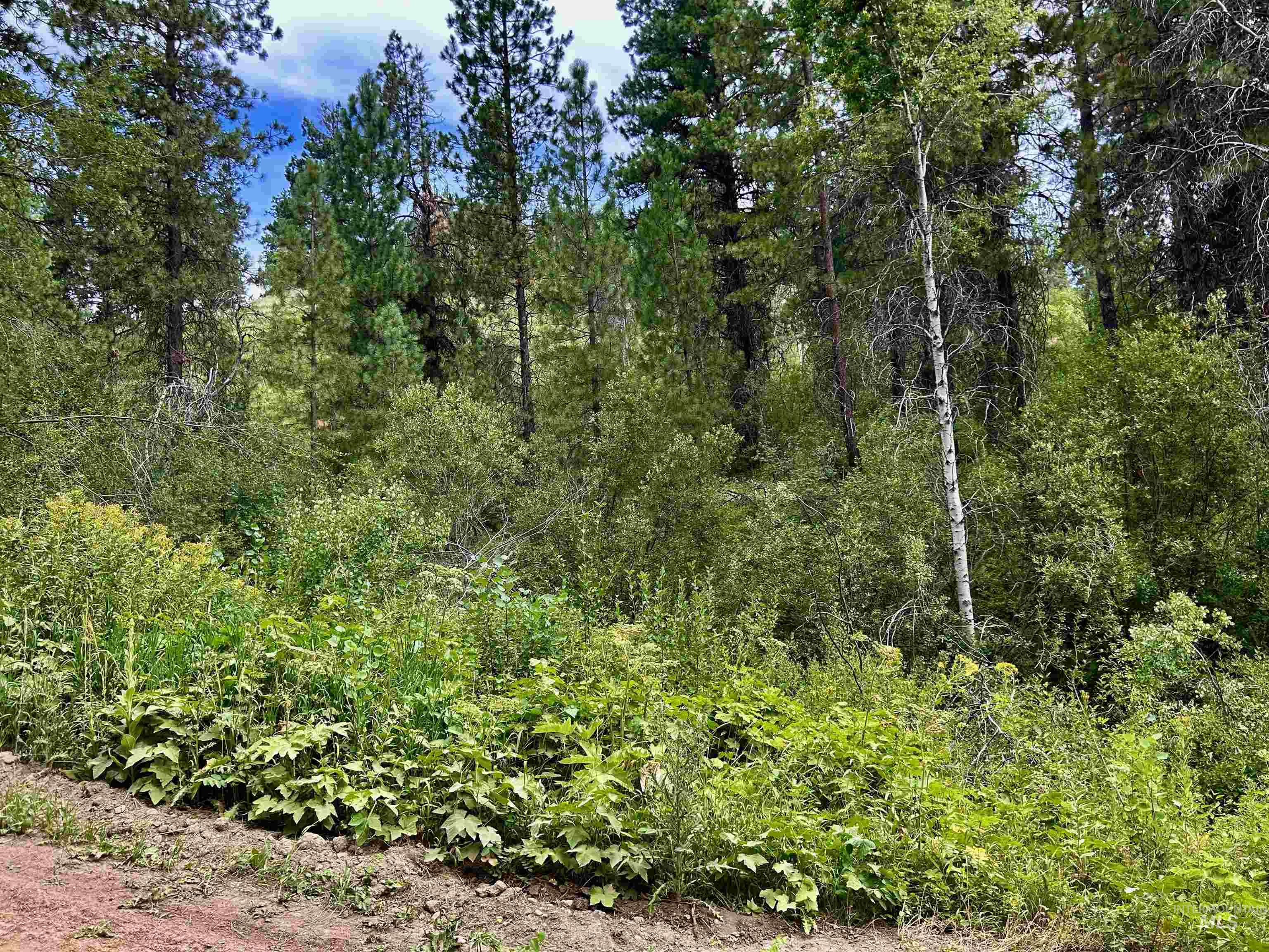 Lot 165 Johnson Creek