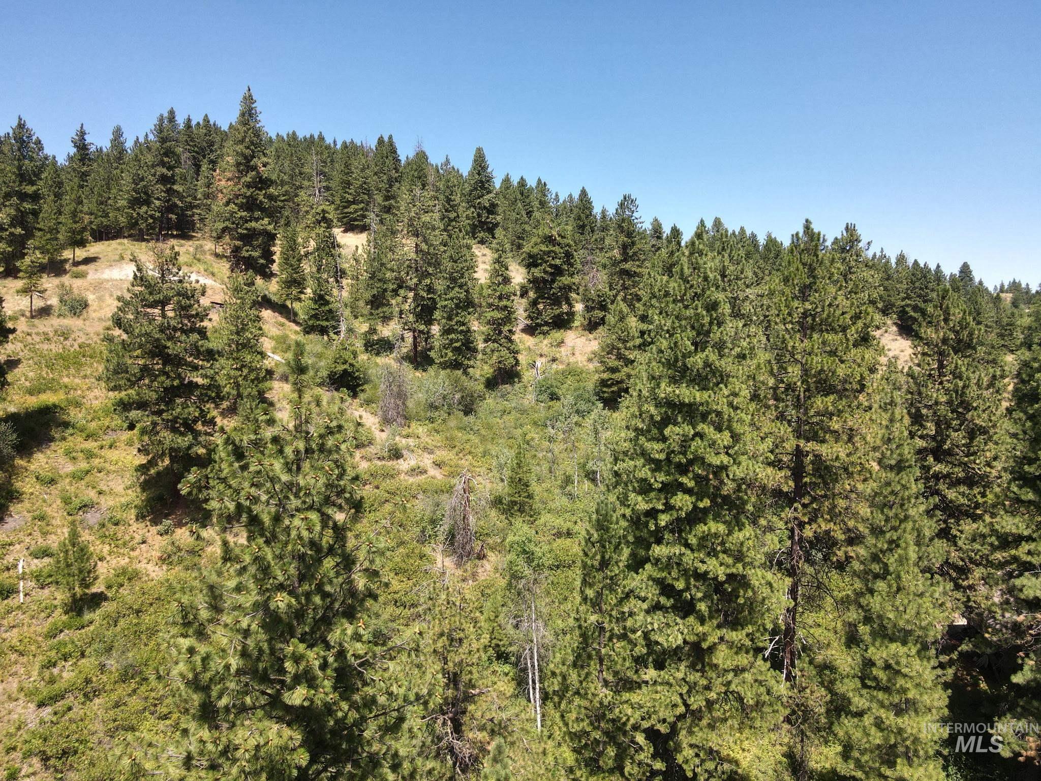 Lot 165 Johnson Creek Property Photo 4