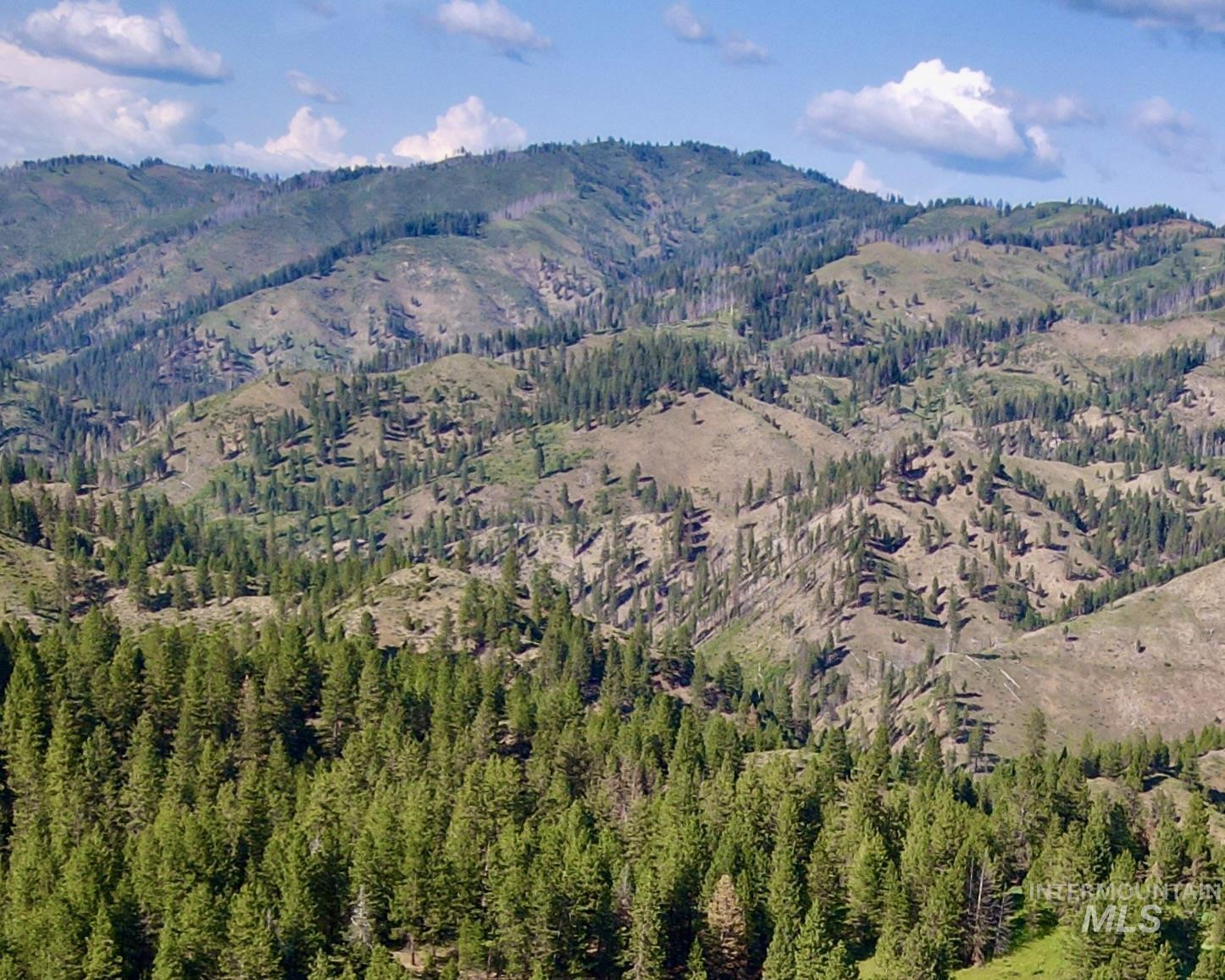 Lot 165 Johnson Creek Property Photo 5