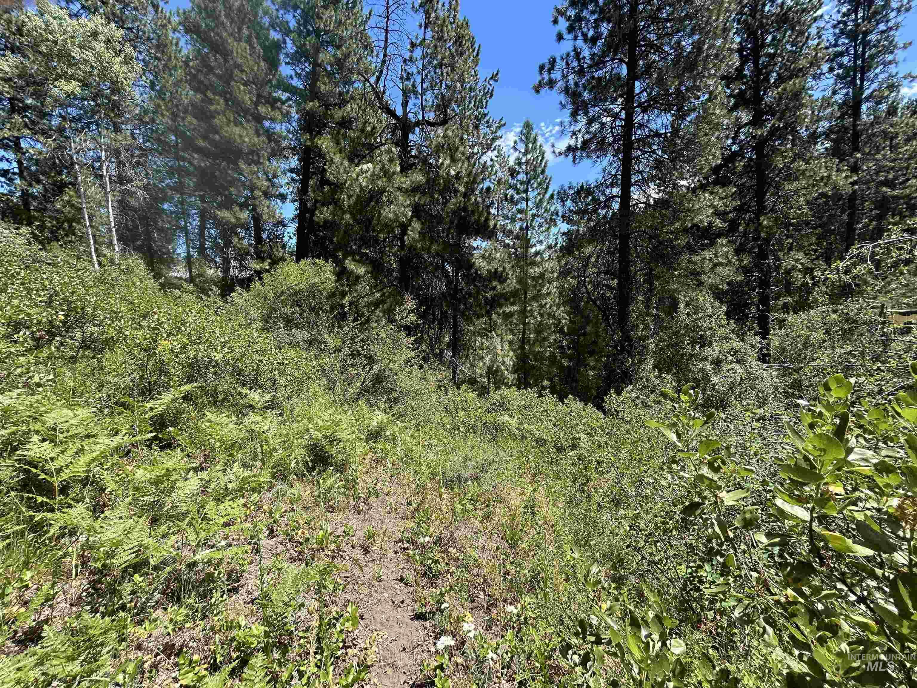 Lot 165 Johnson Creek Property Photo 7