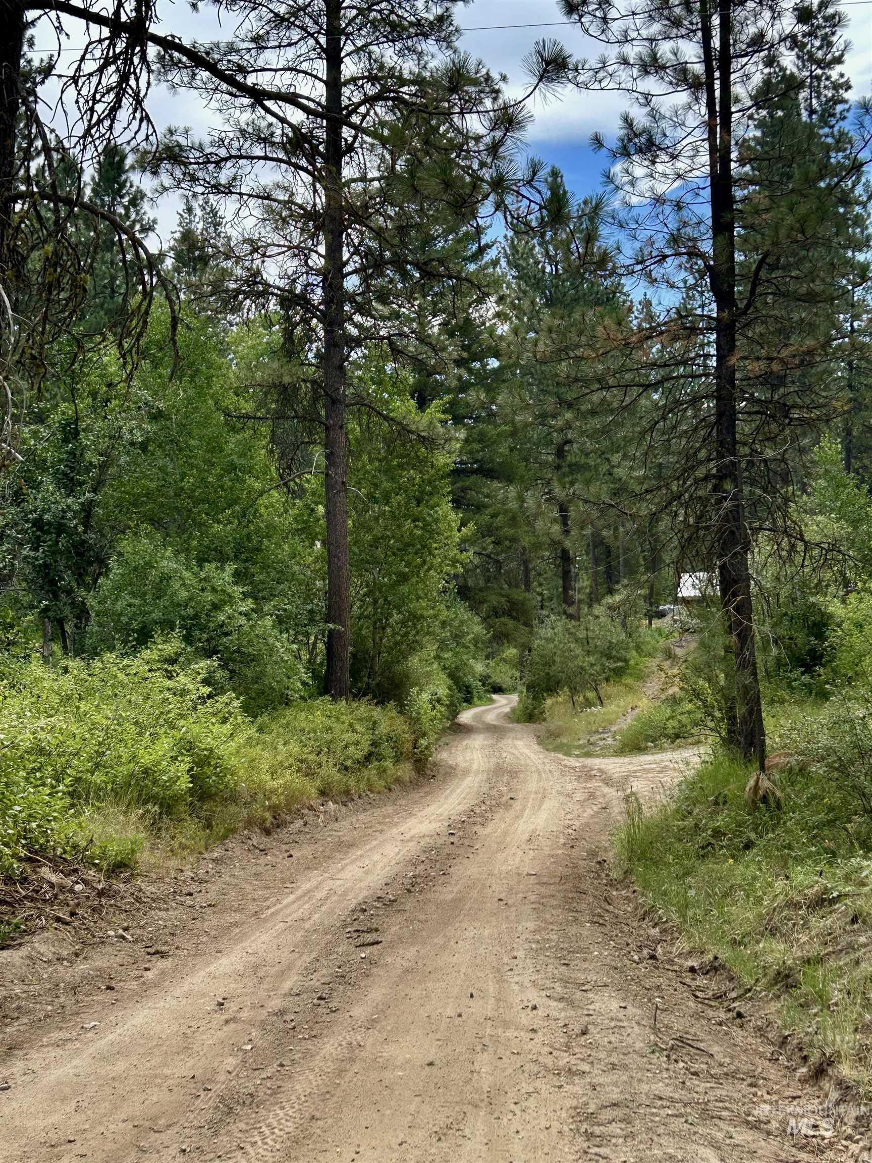 Lot 165 Johnson Creek Property Photo 8