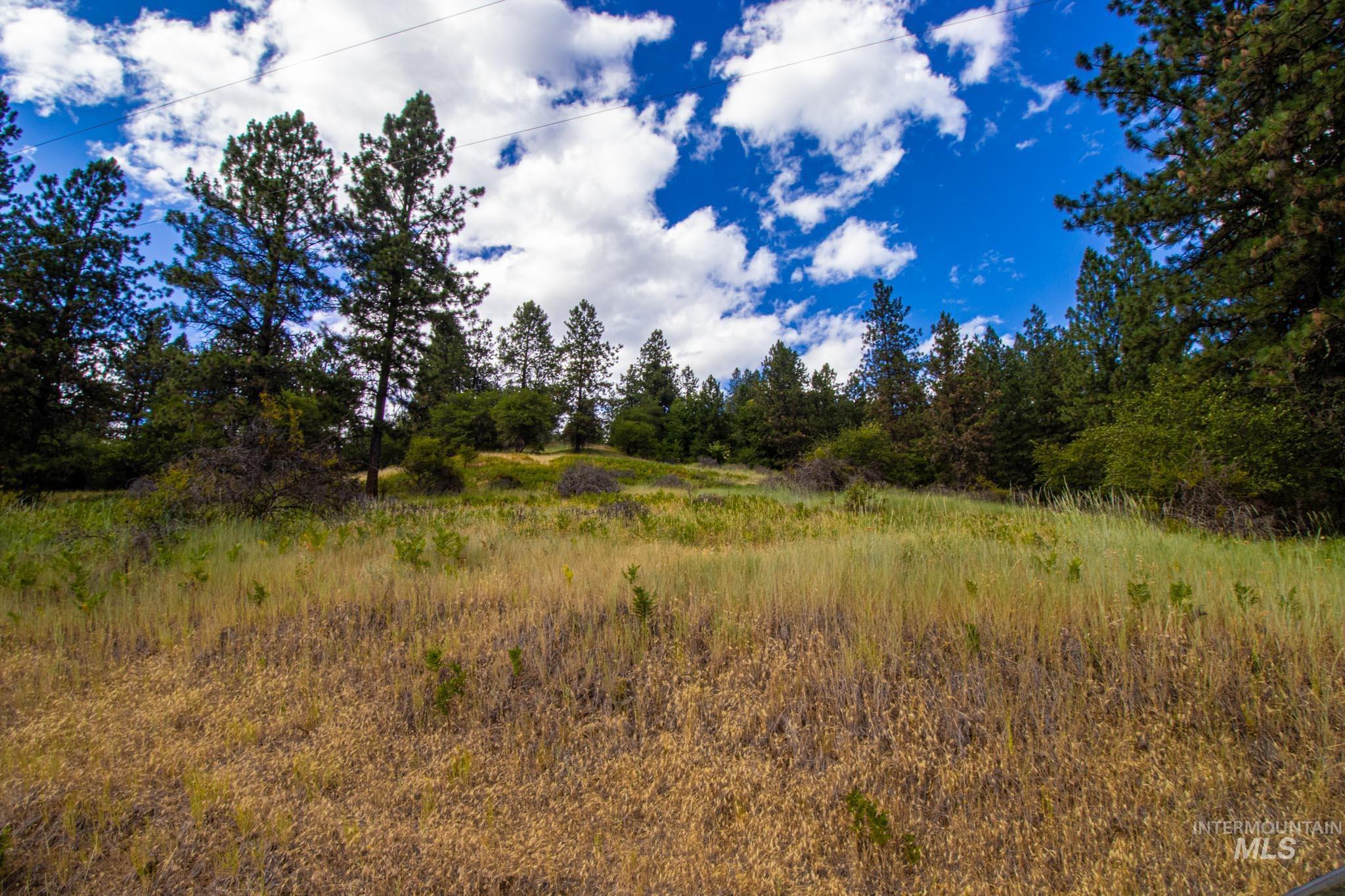 0 Whitetail Drive