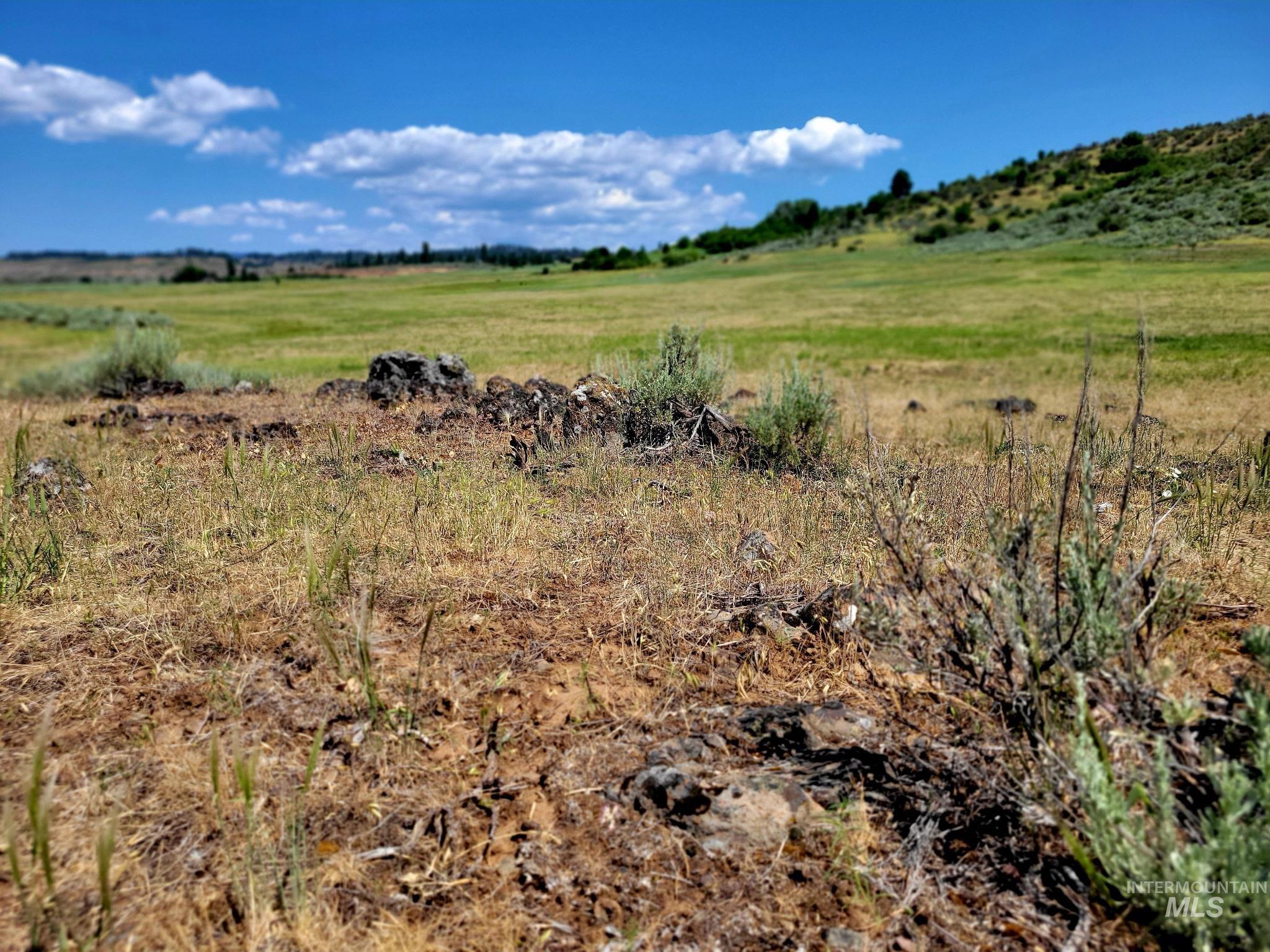 Tbd To Be Determined Property Photo 11