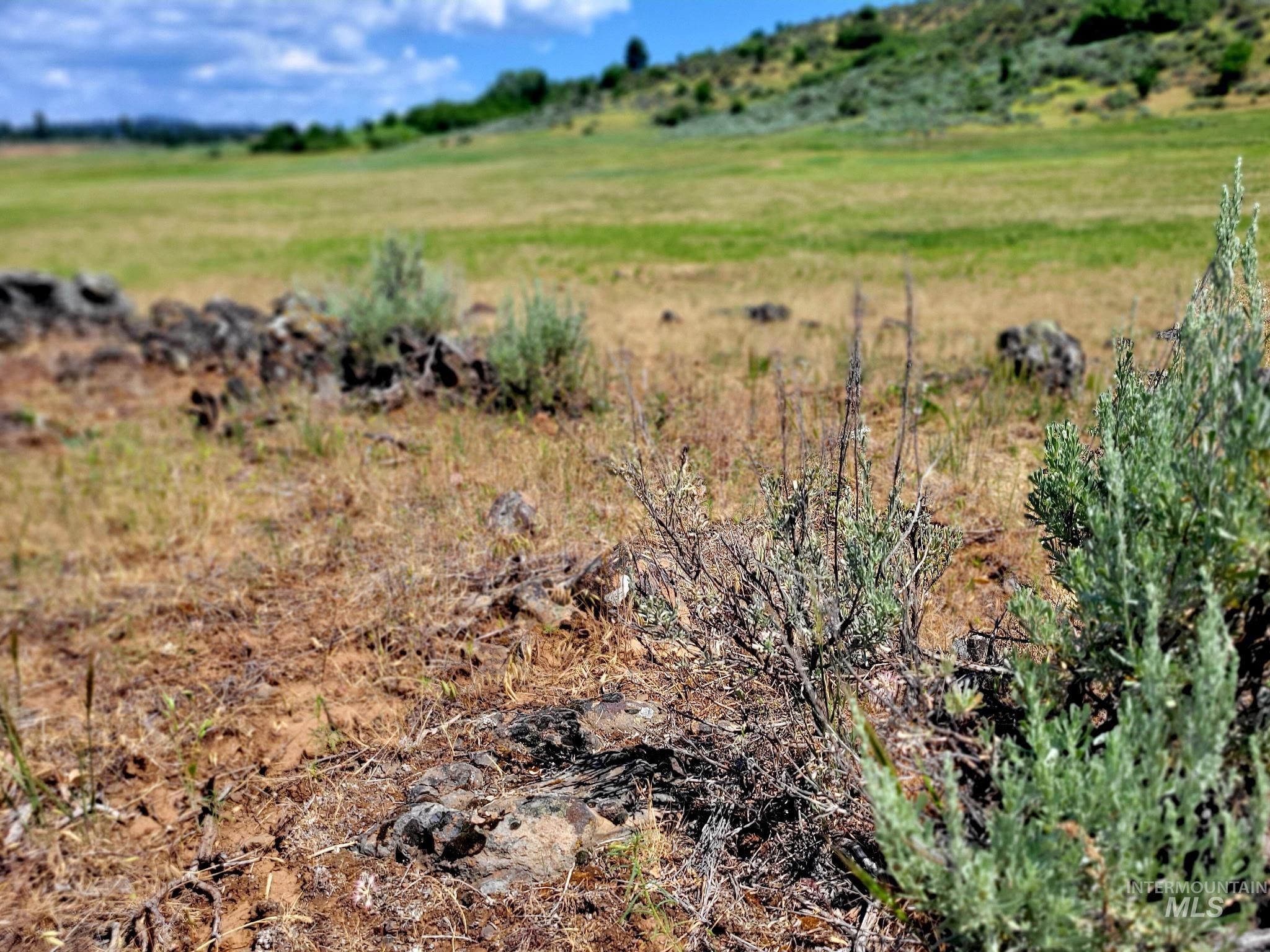Tbd To Be Determined Property Photo 16