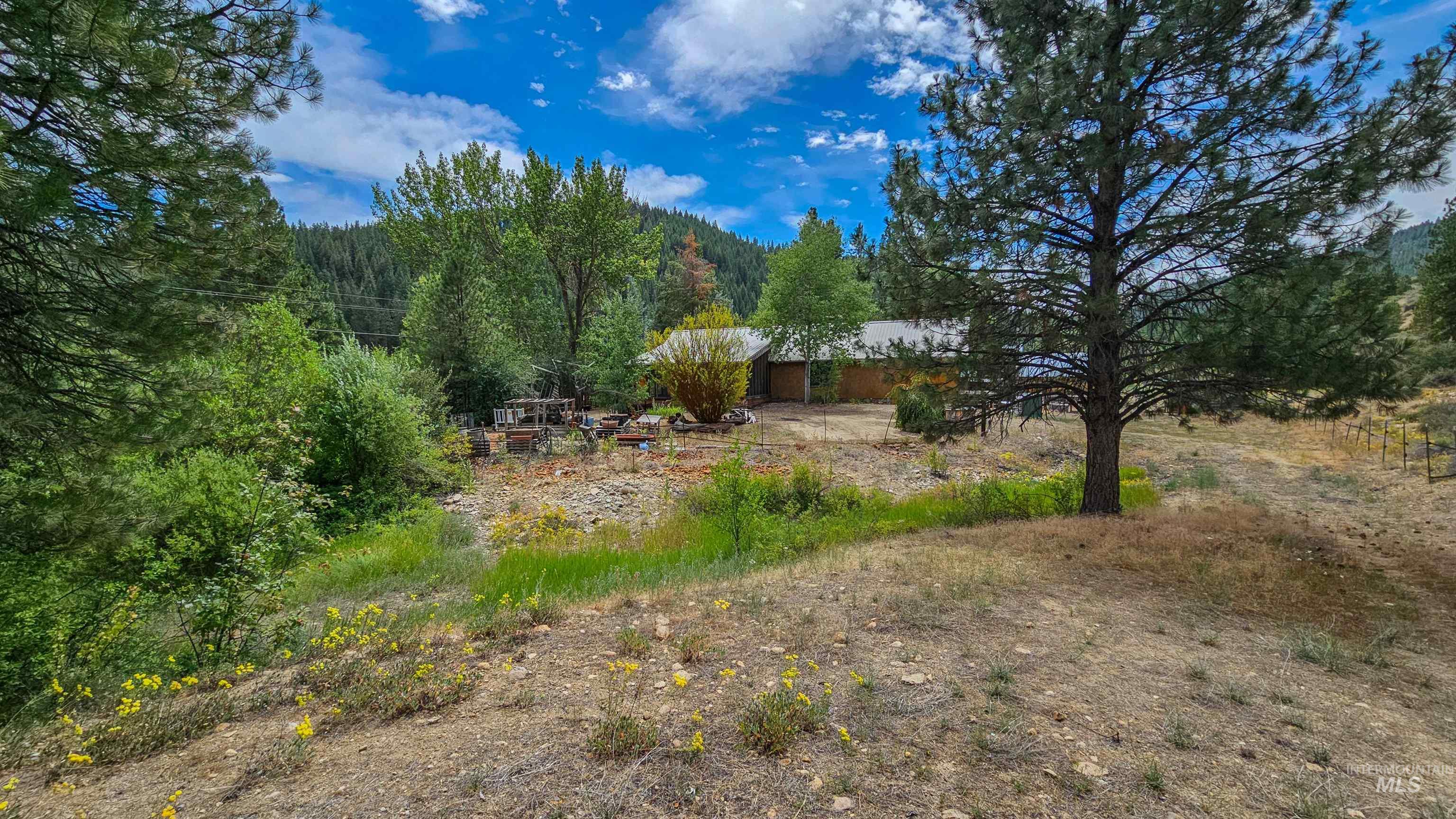 3382 Hwy 21 Property Photo 35