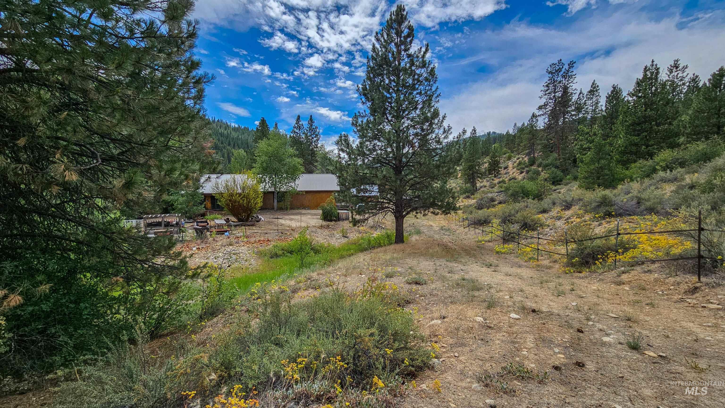 3382 Hwy 21 Property Photo 36