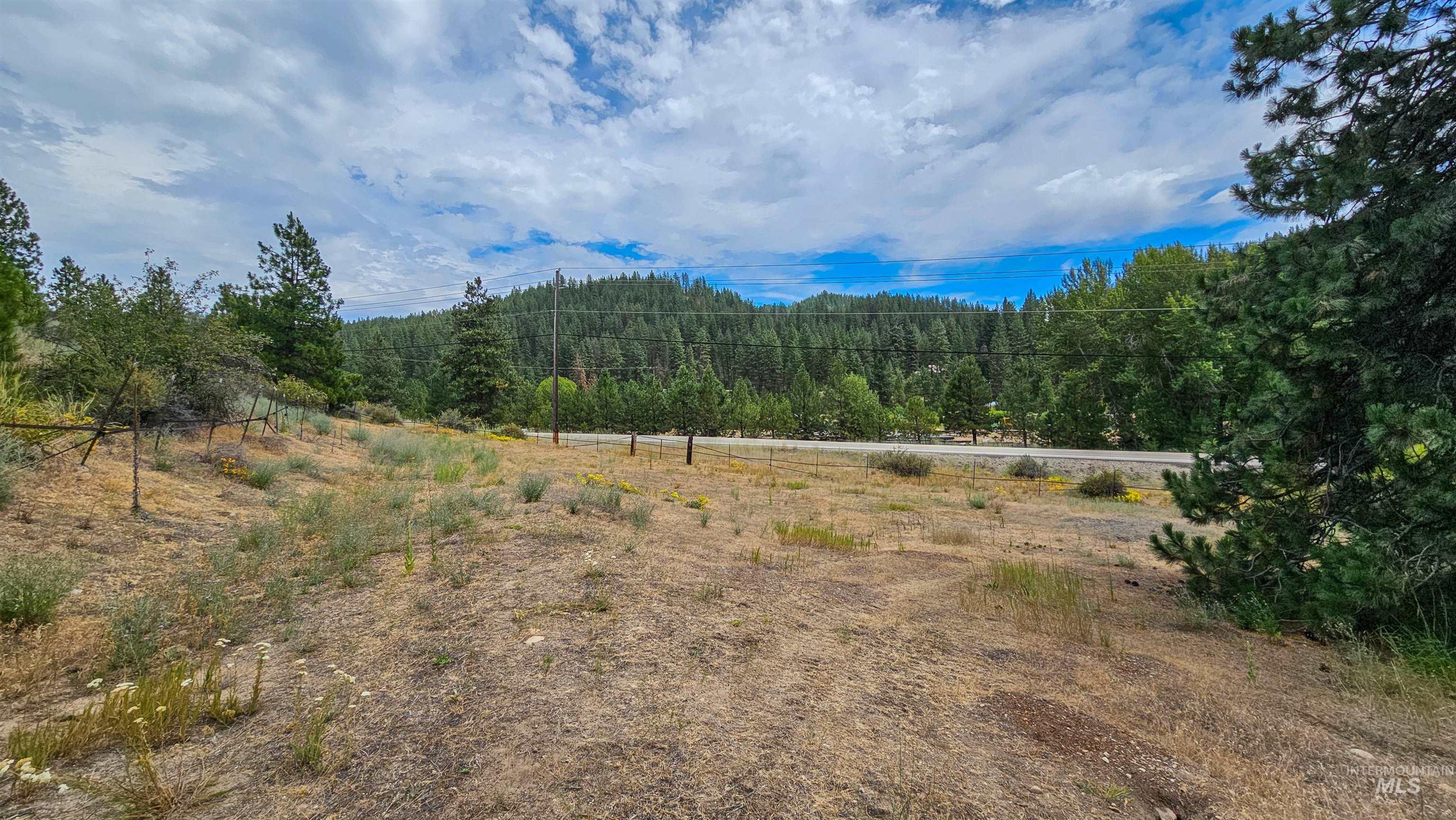 3382 Hwy 21 Property Photo 37