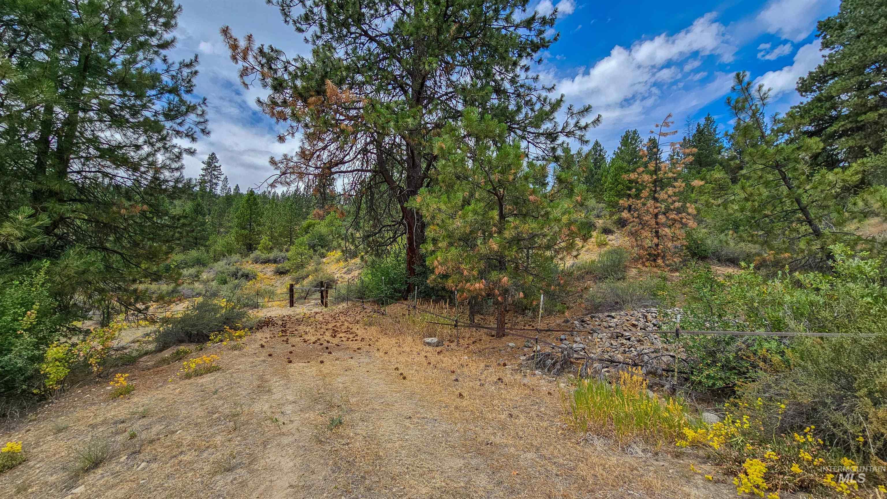 3382 Hwy 21 Property Photo 38