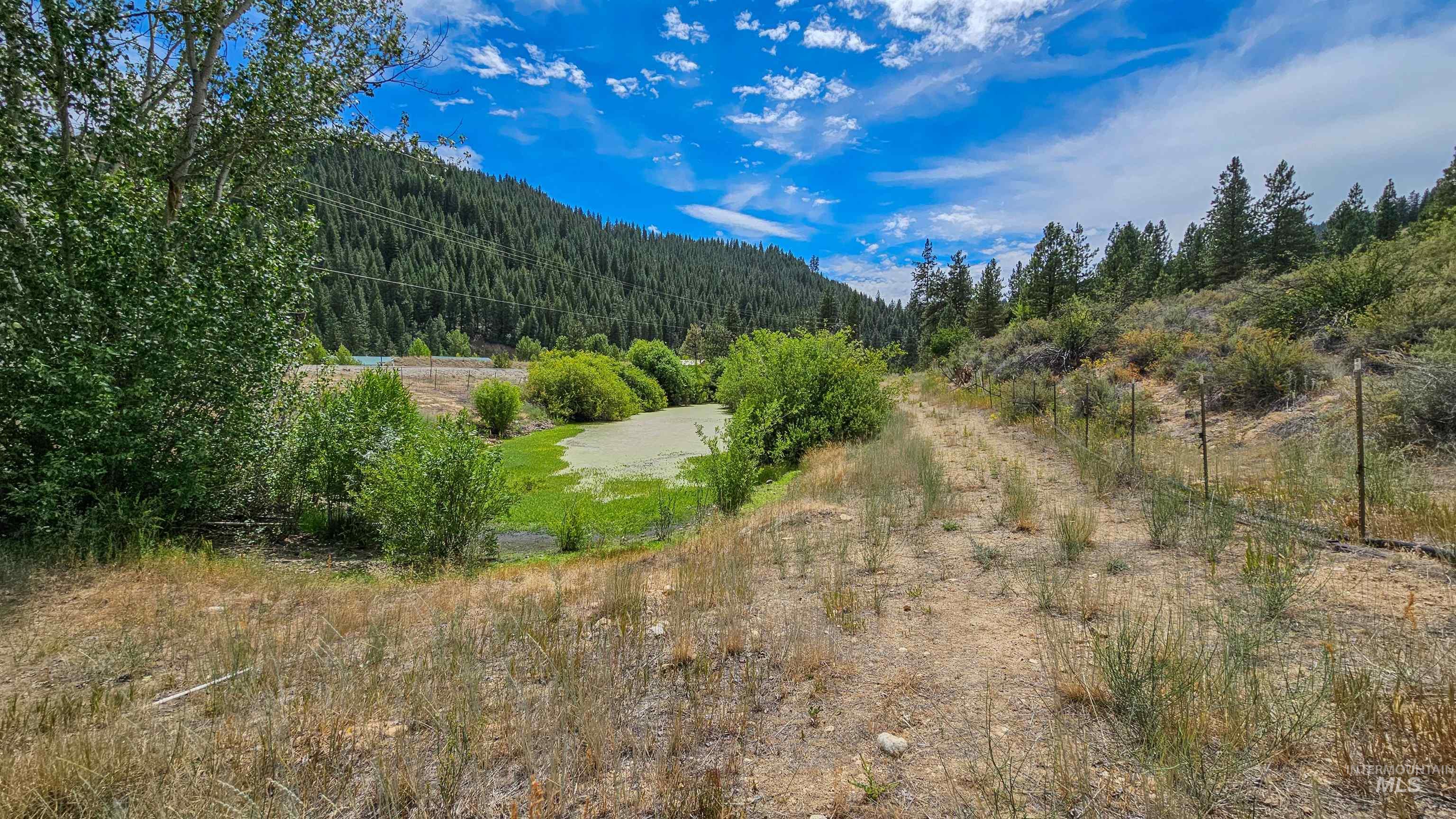 3382 Hwy 21 Property Photo 45