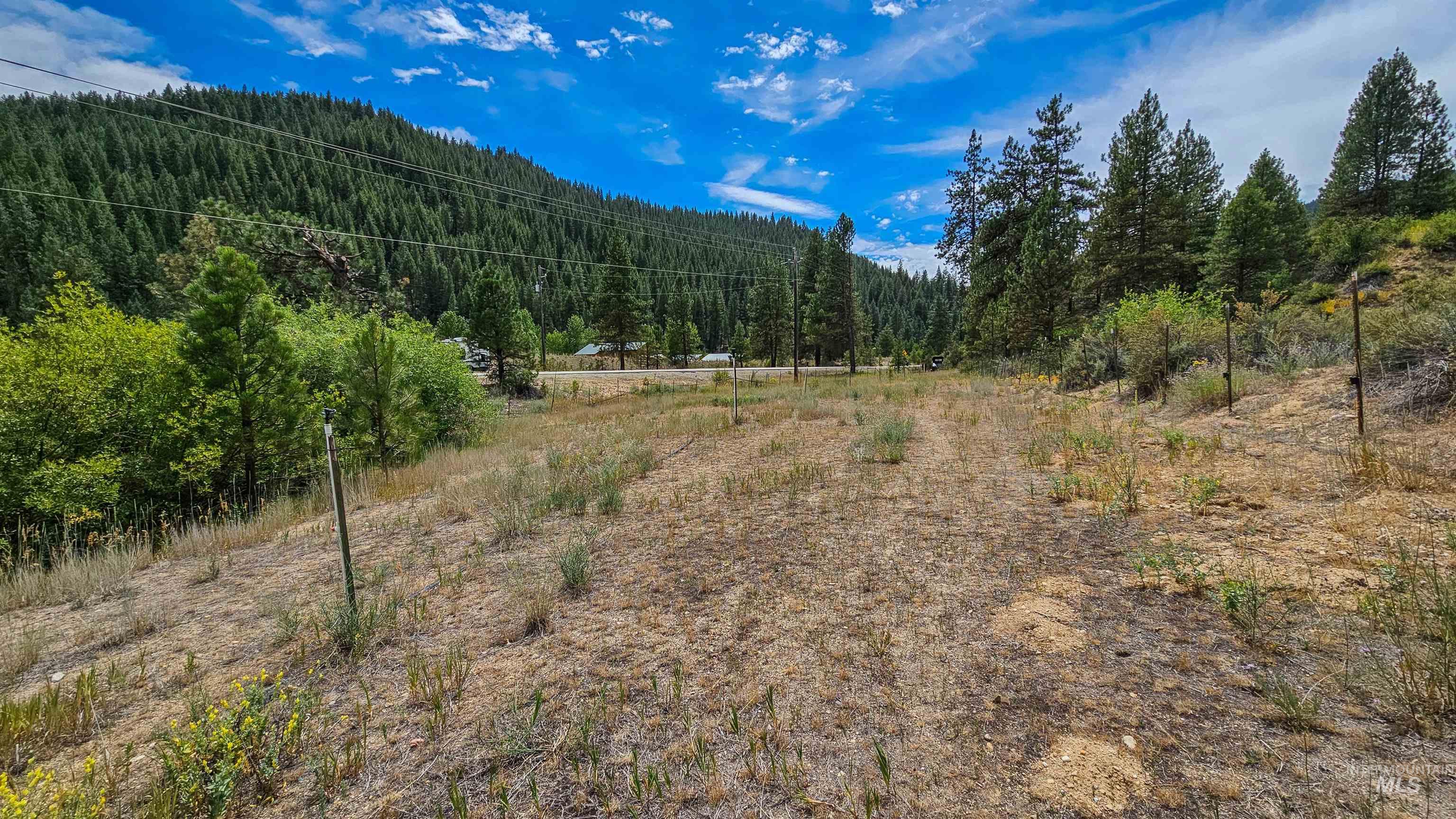 3382 Hwy 21 Property Photo 46