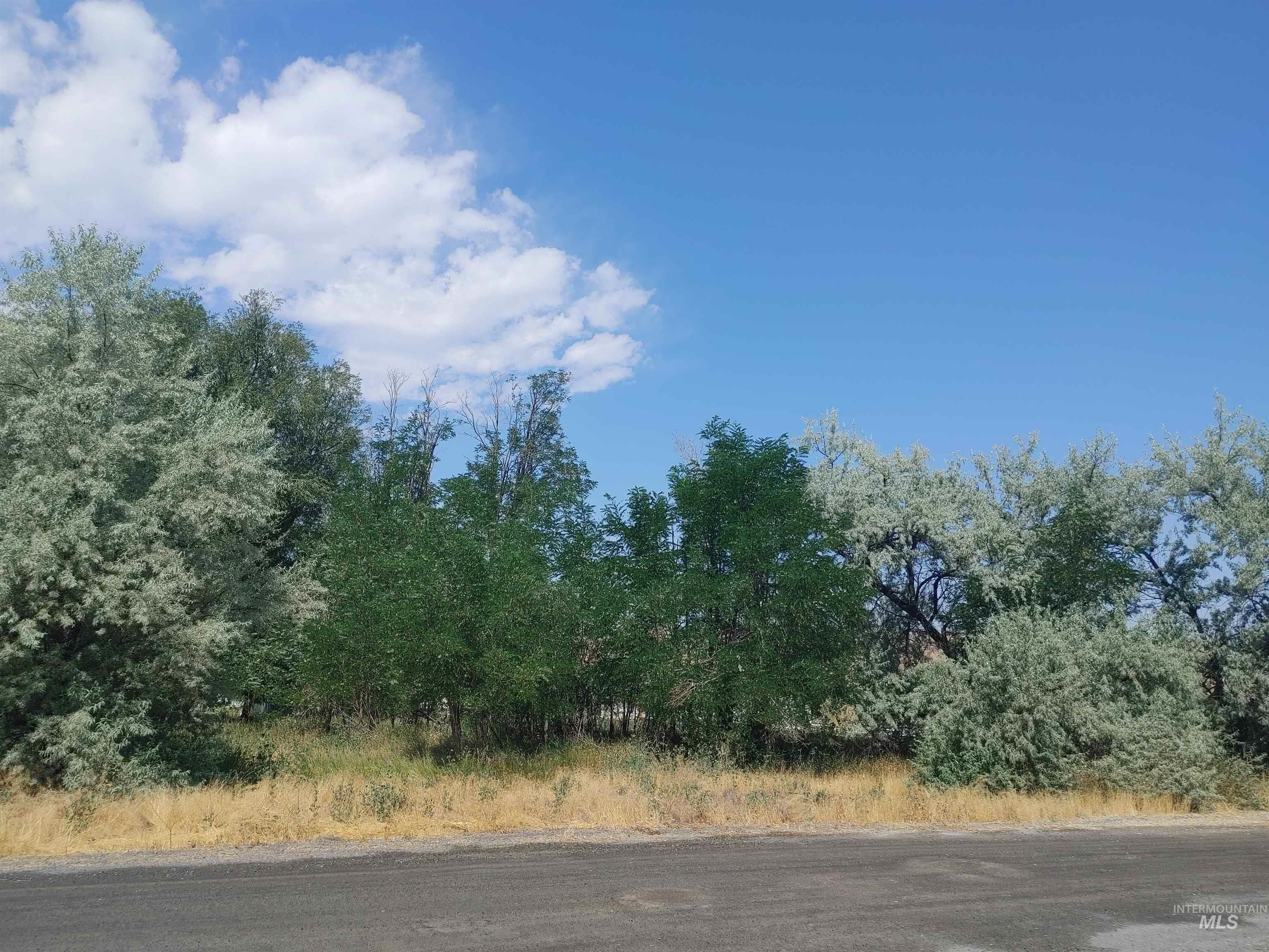 Tbd 1st And Main Property Photo 4