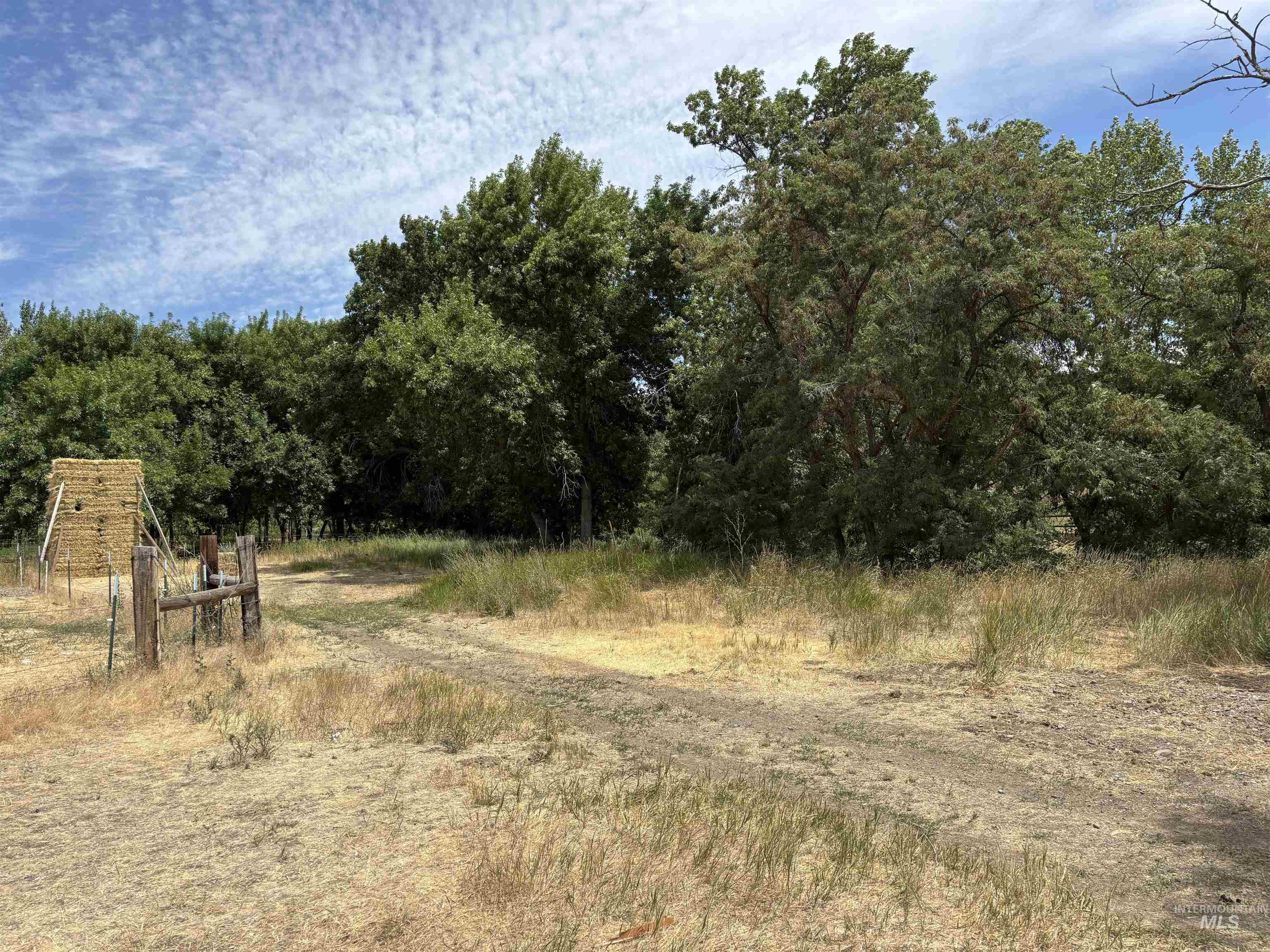 6870 Mayfield Rd Property Photo 15