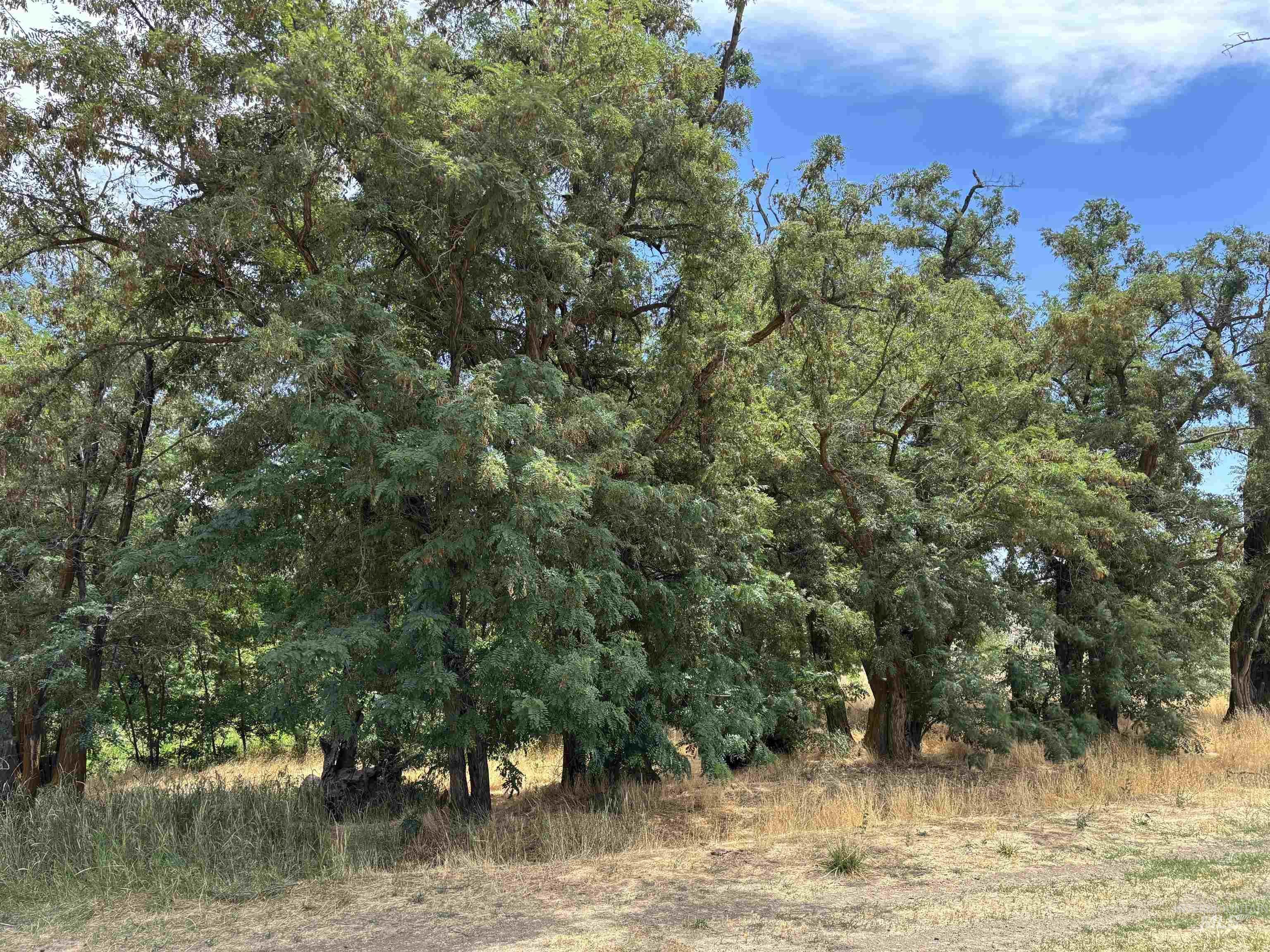 6870 Mayfield Rd Property Photo 16