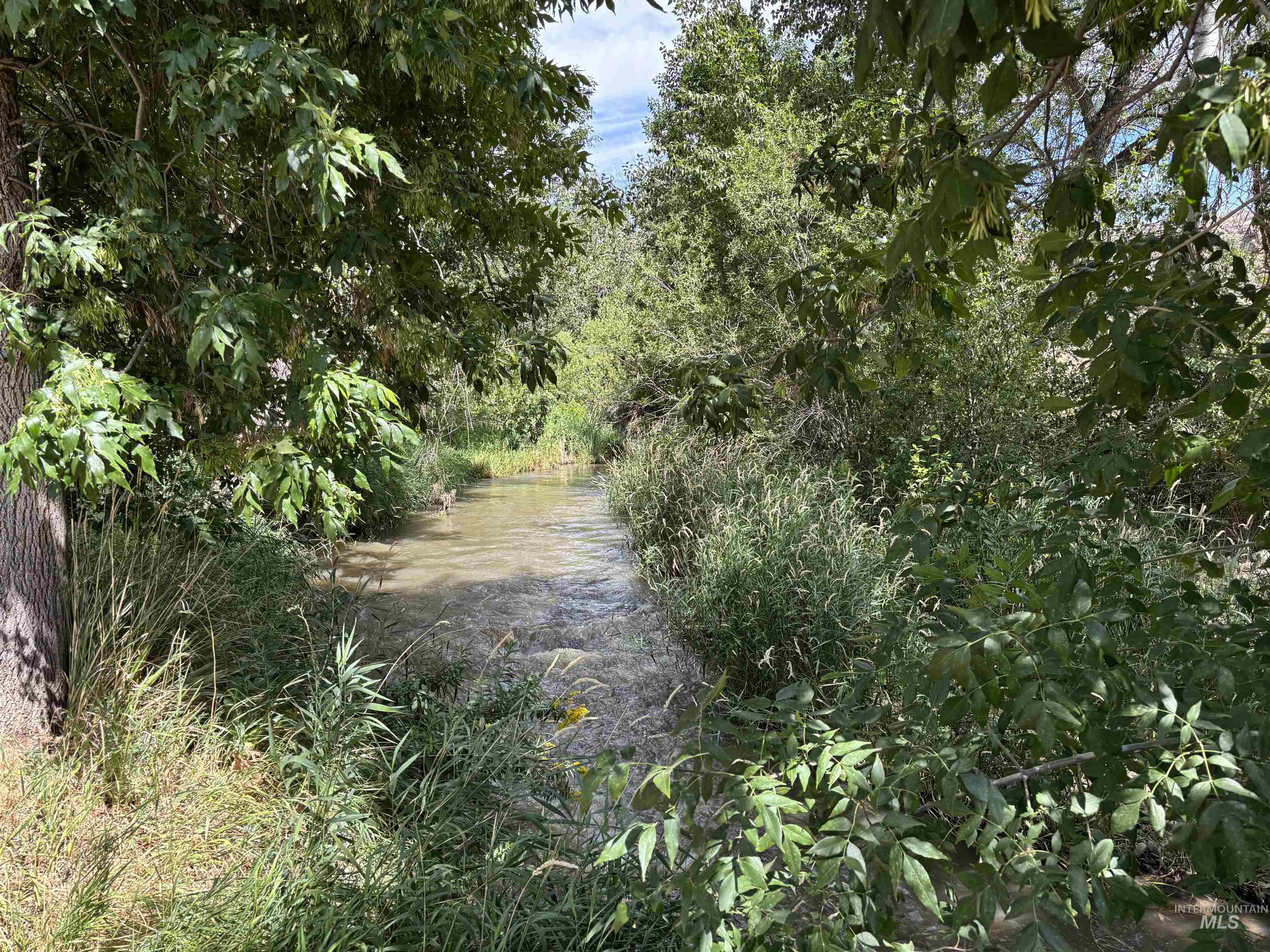 6870 Mayfield Rd Property Photo 17