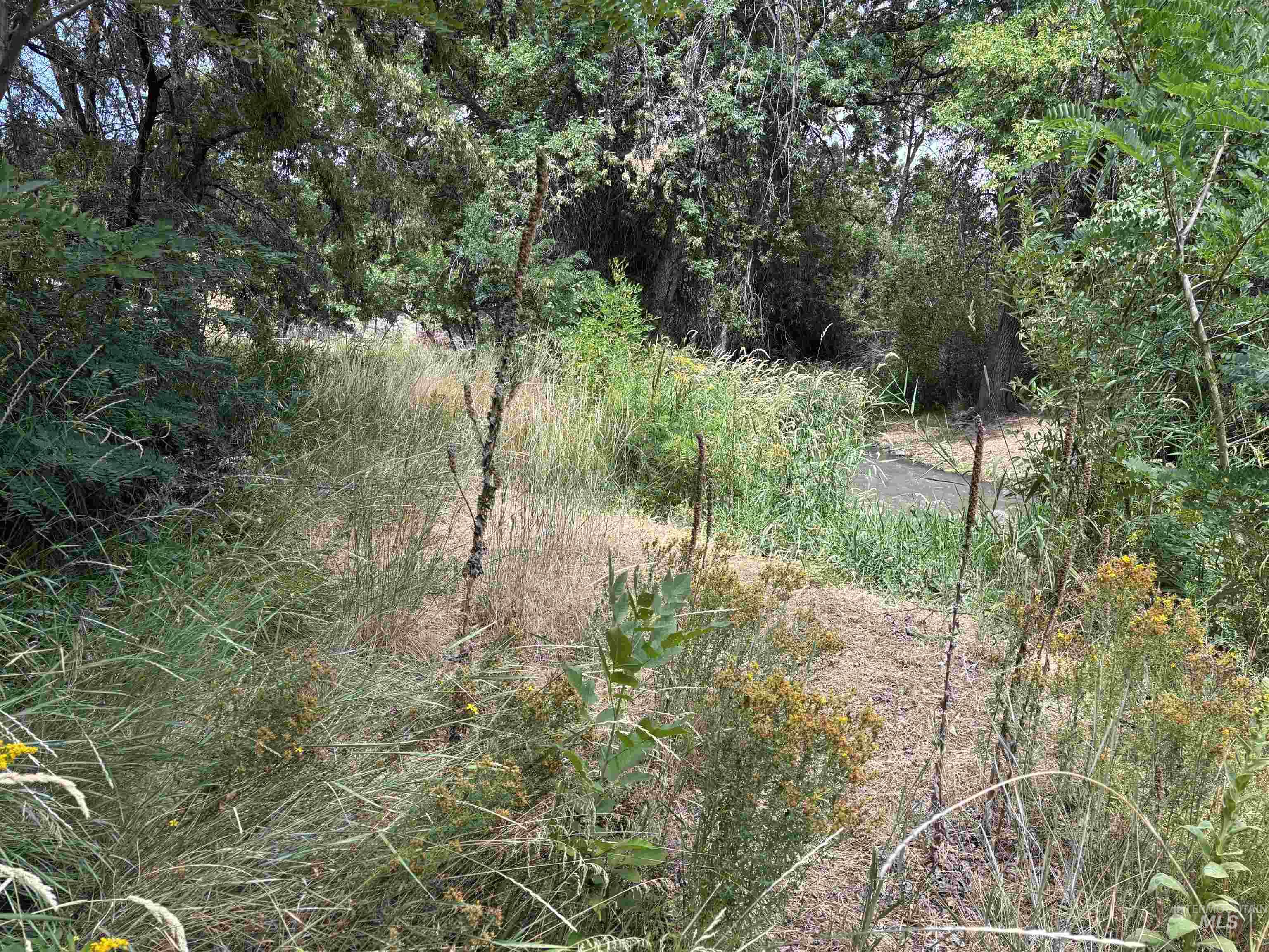 6870 Mayfield Rd Property Photo 36