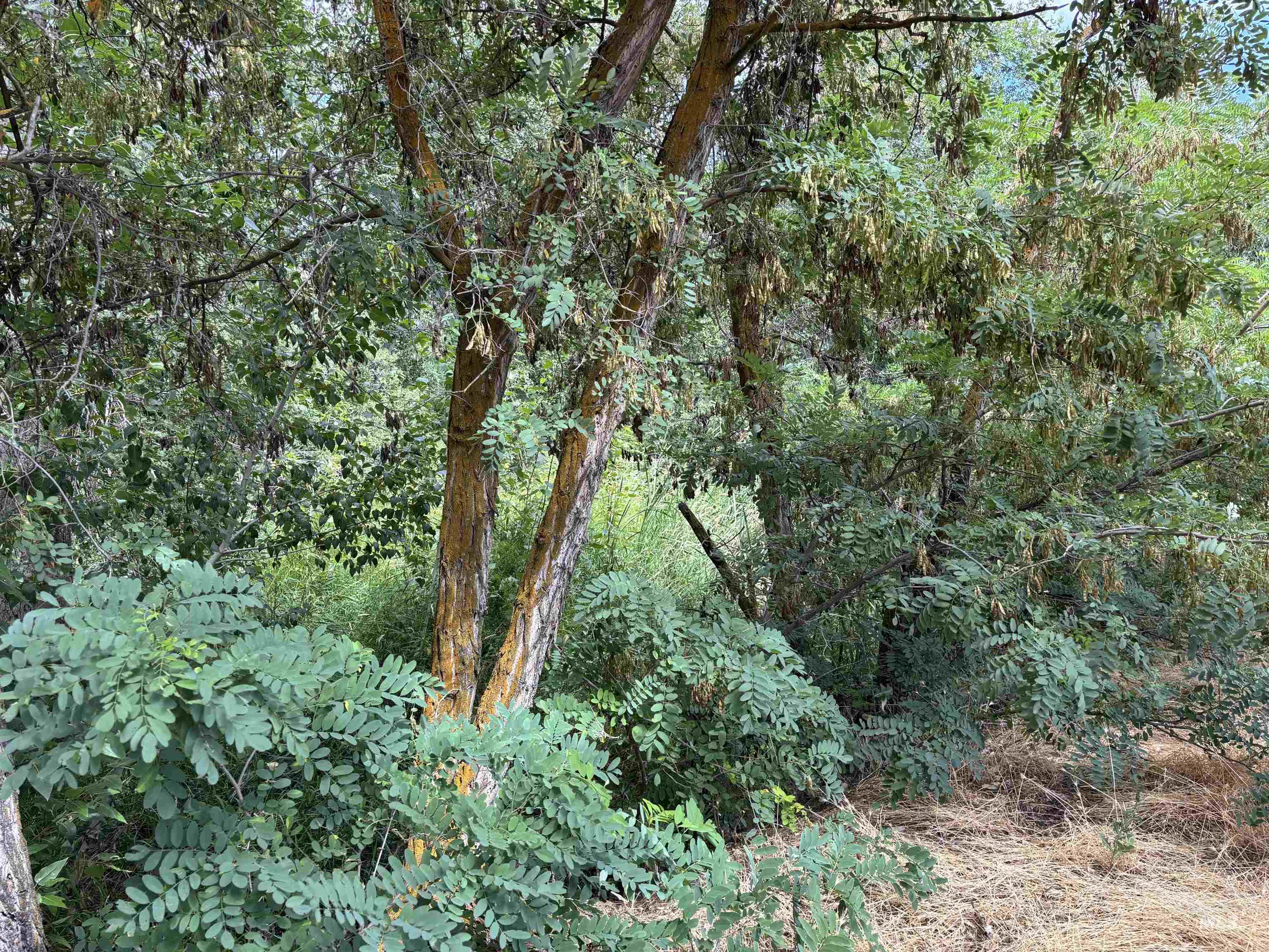 6870 Mayfield Rd Property Photo 38